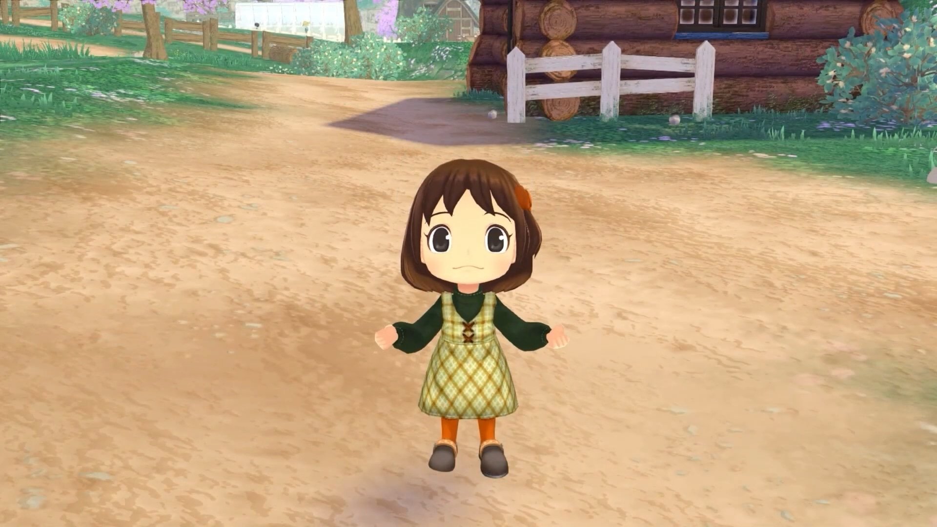 Story of Seasons: A Wonderful Life