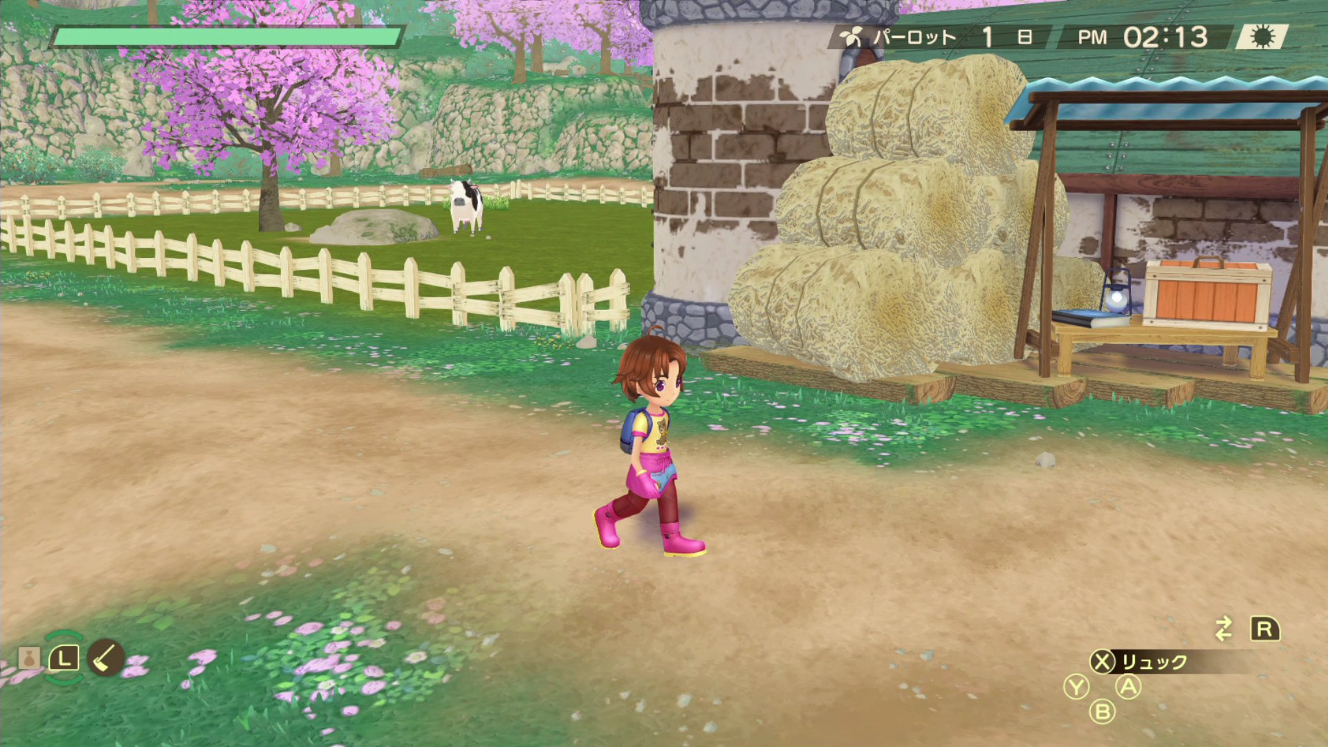 Story of Seasons: A Wonderful Life