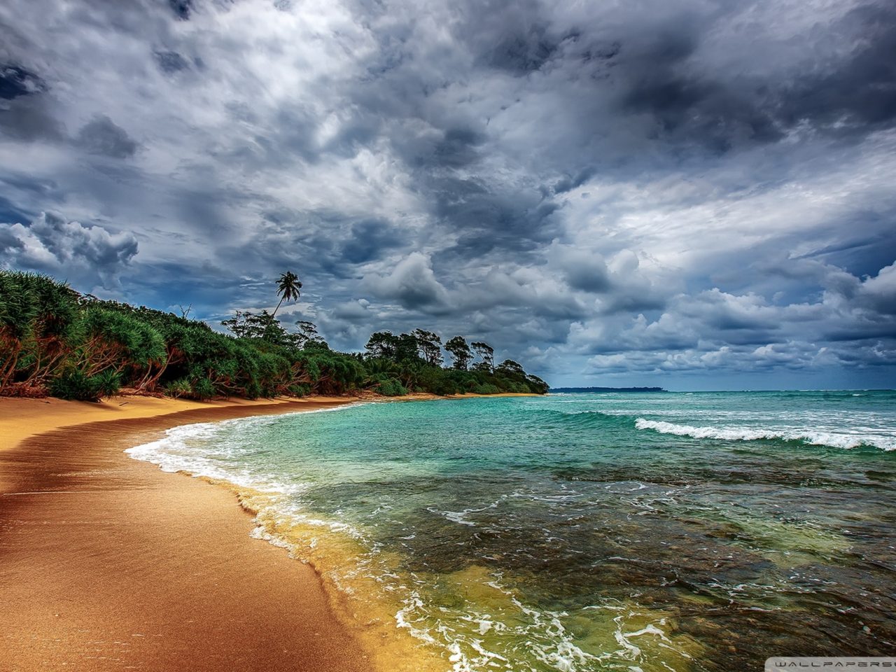 Tropical Coast With Beautiful Beach