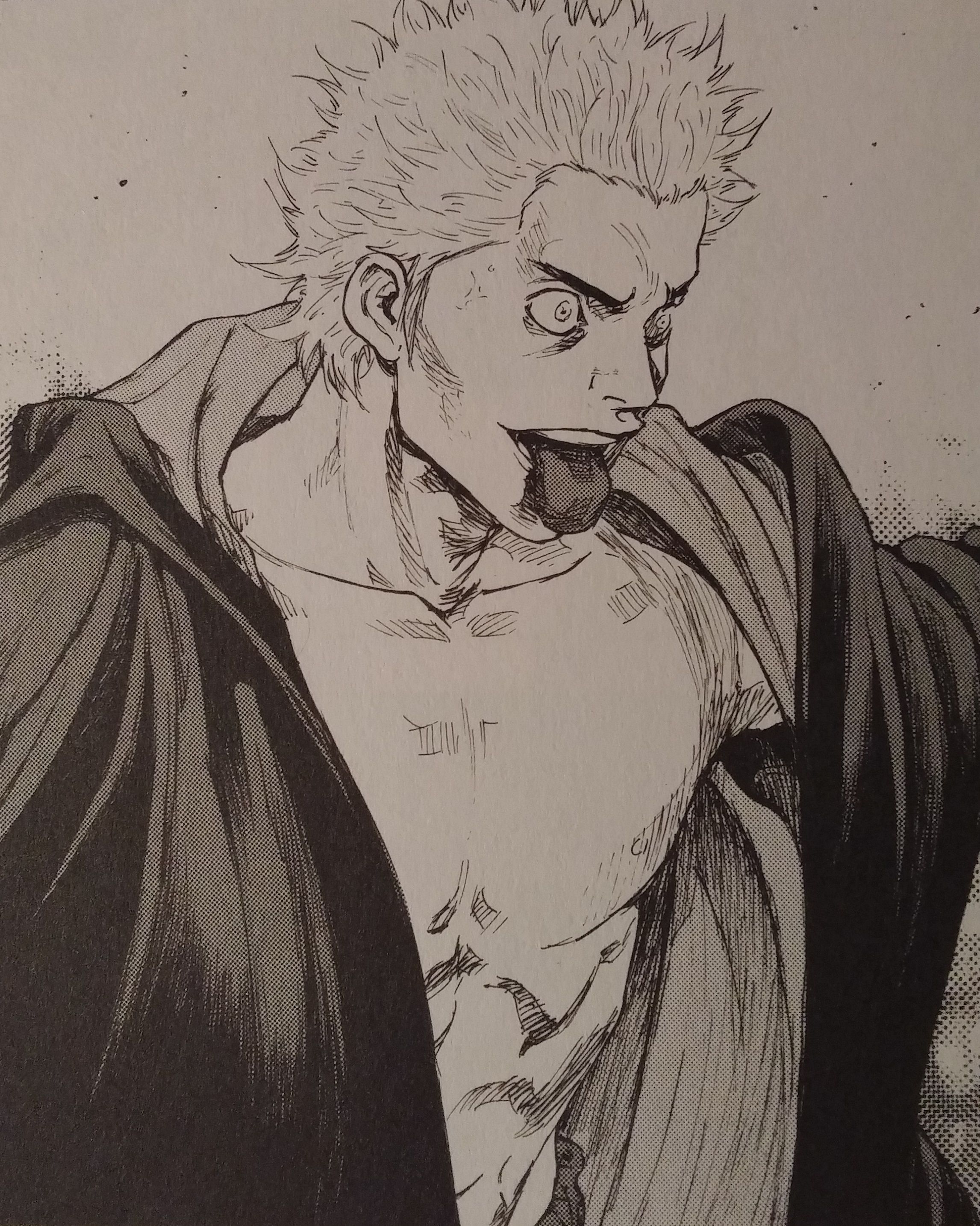 Ryo Narushima (Shamo). Эскизы