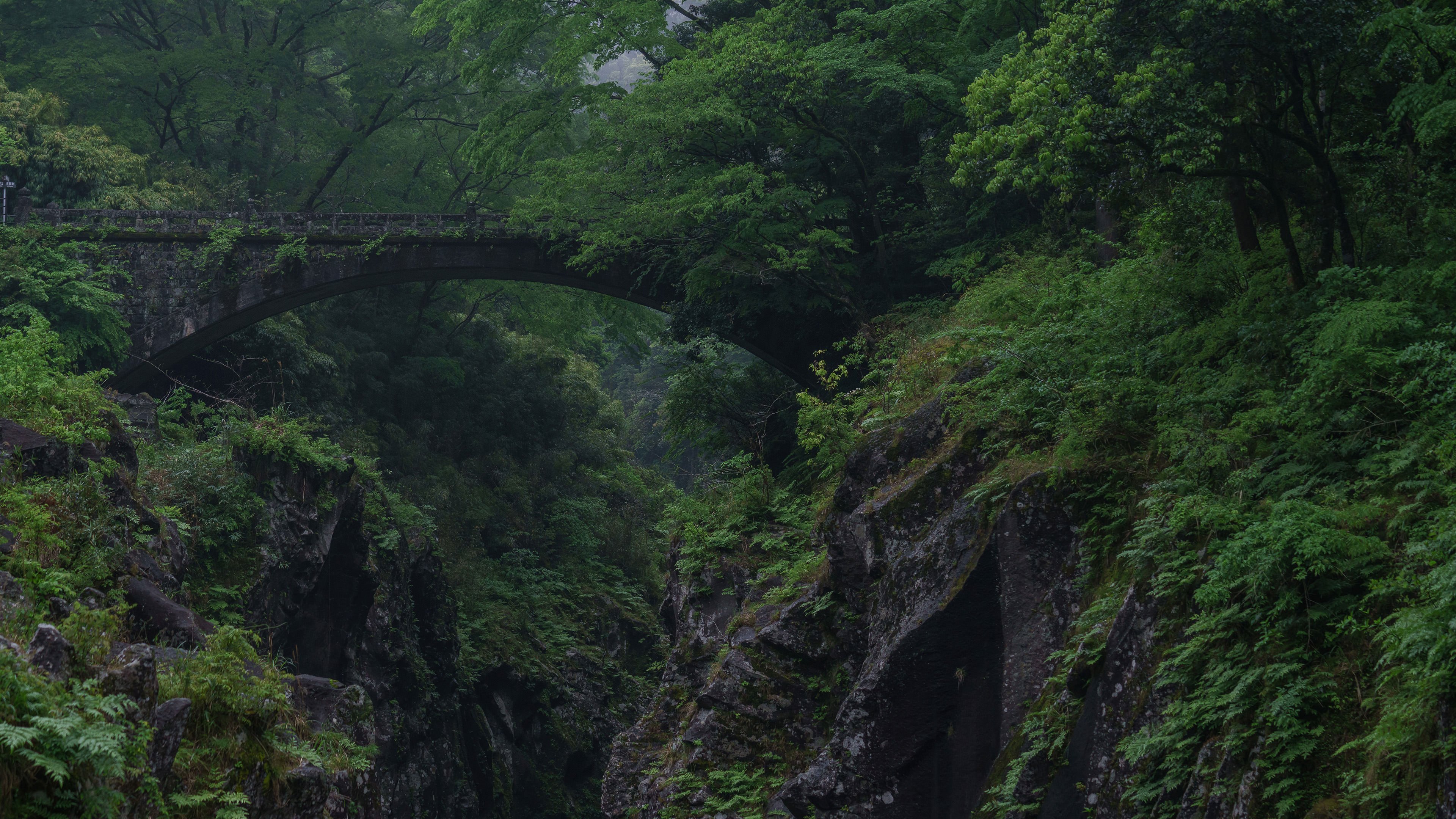 Woods 4k Wallpapers - Wallpaper Cave