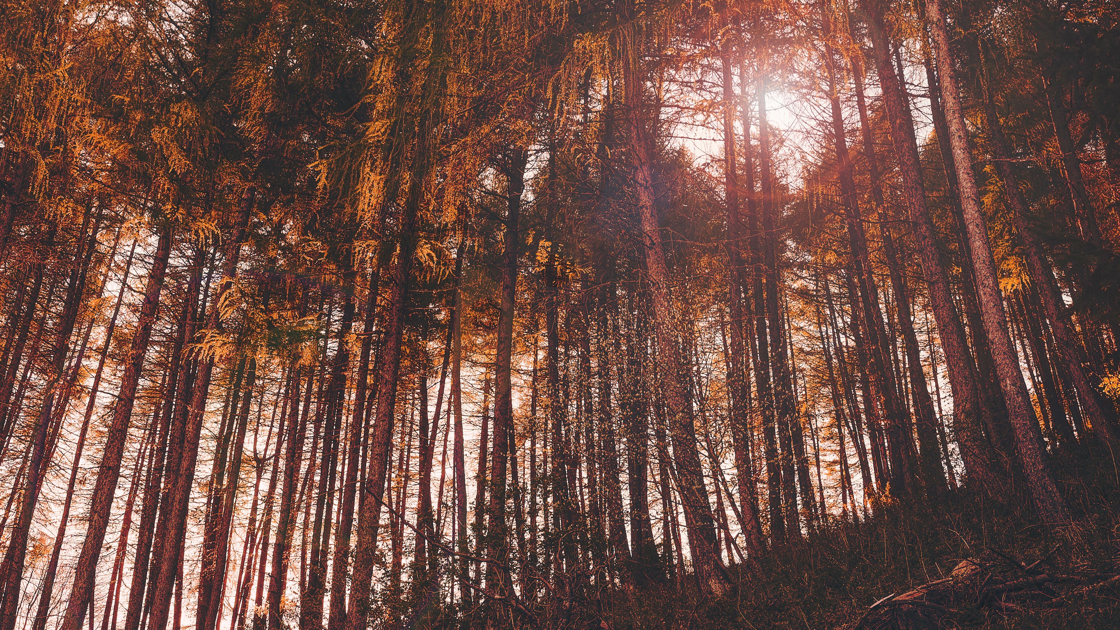 2k, 4k Full HD Wallpaper, Background