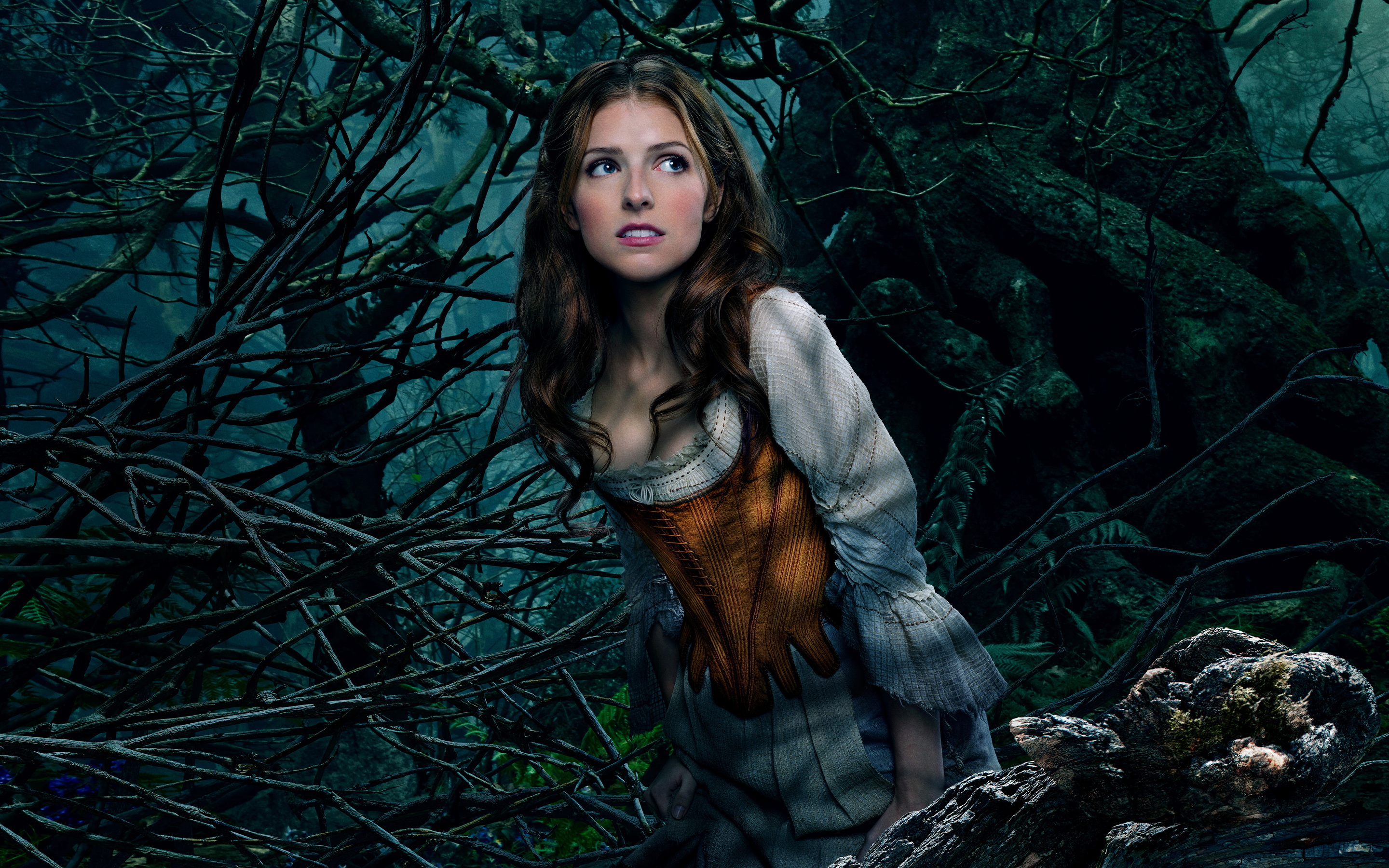 Into The Woods HD Wallpaper