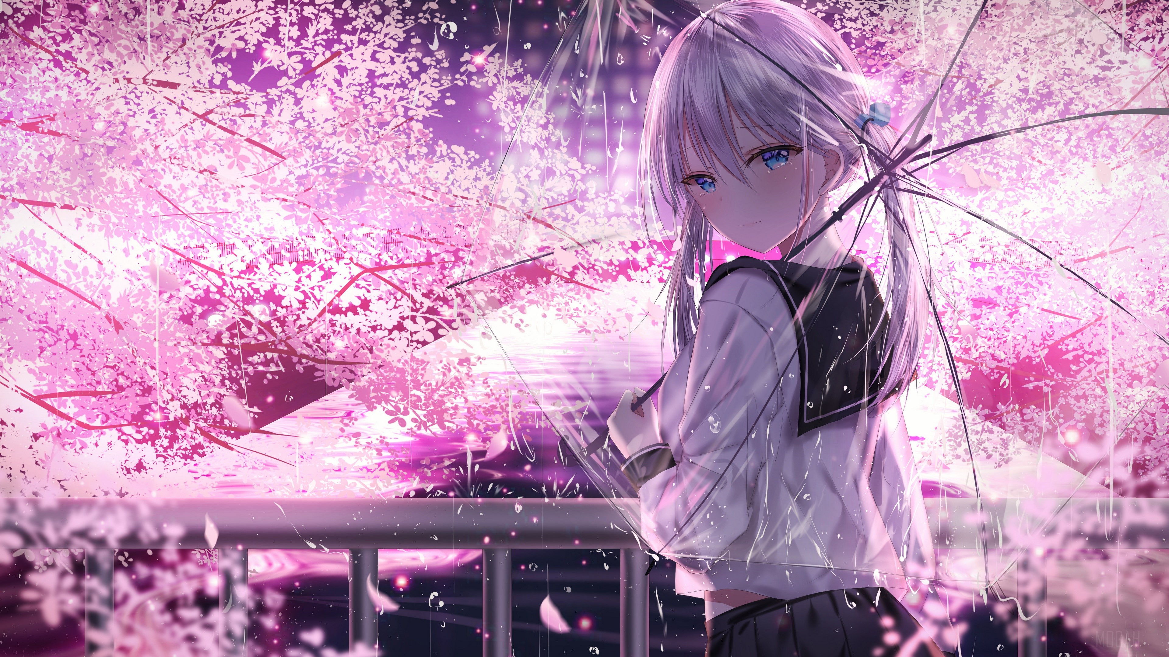 Blue Eyes, Cherry Blossom, Grey