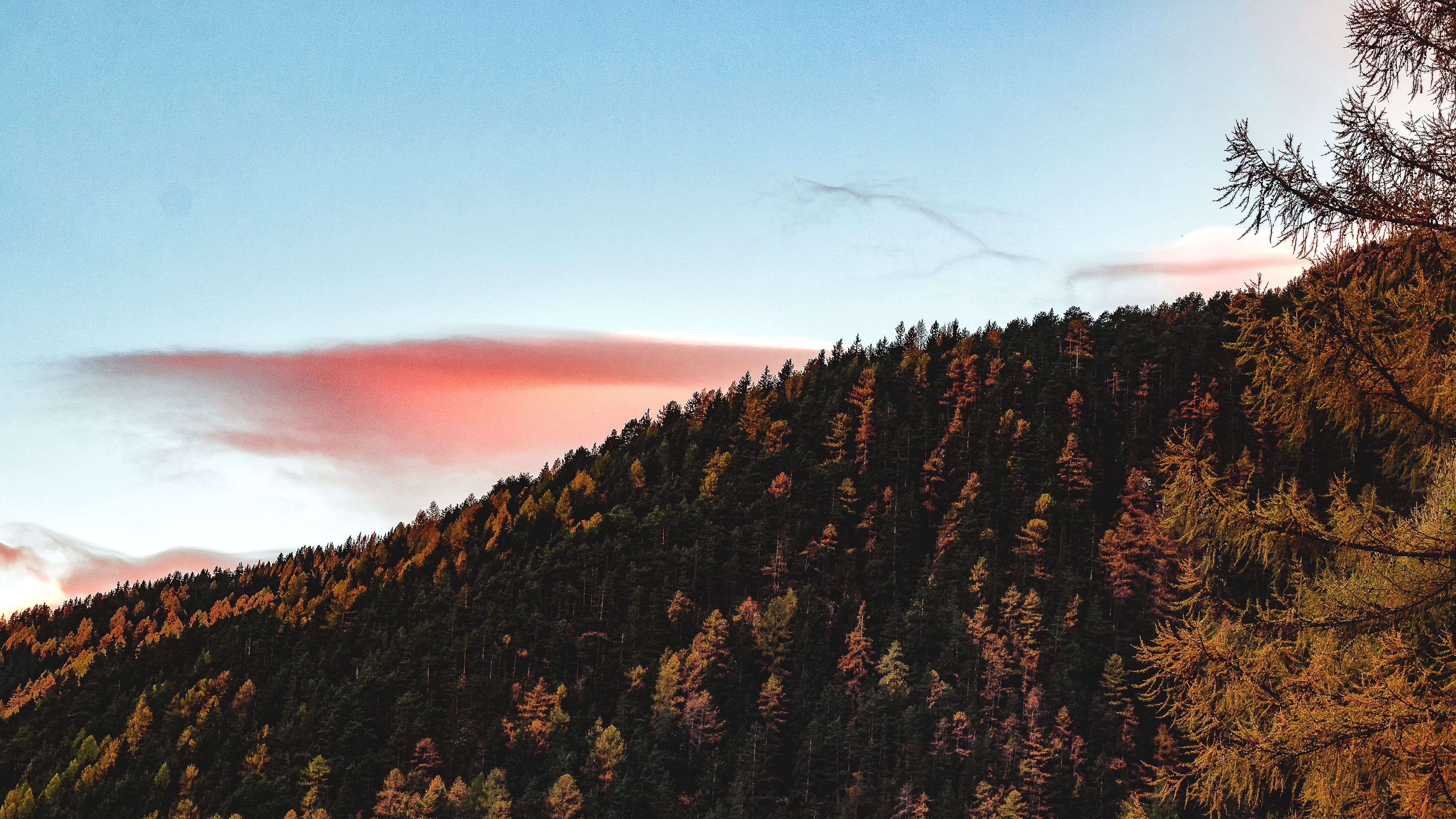 Wallpaper 4k trees, sky, autumn, hill