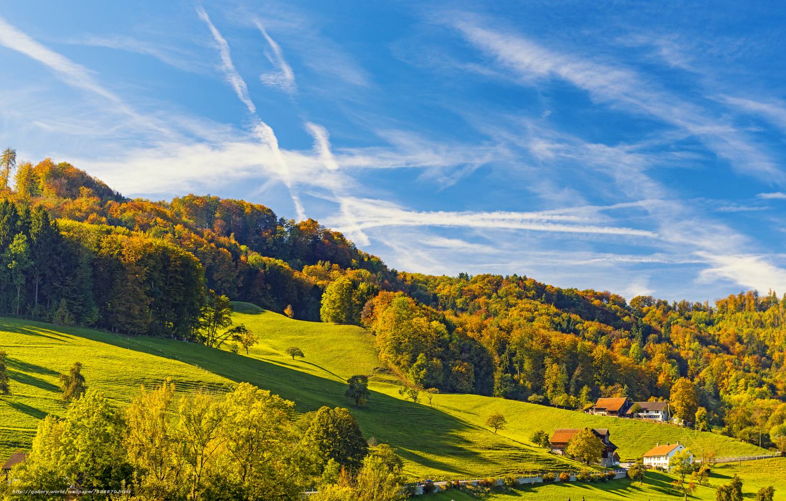 Download wallpaper autumn, Hills, trees