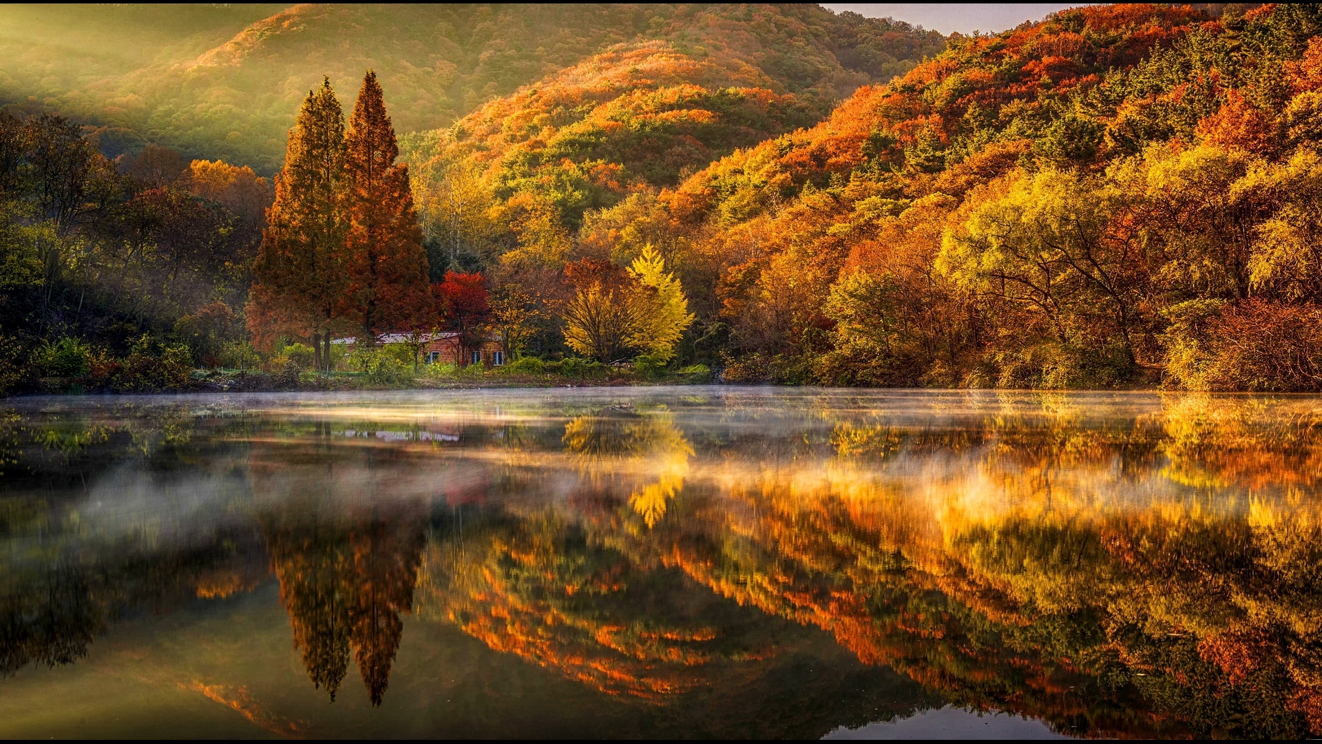 hills, forest, fall, autumn