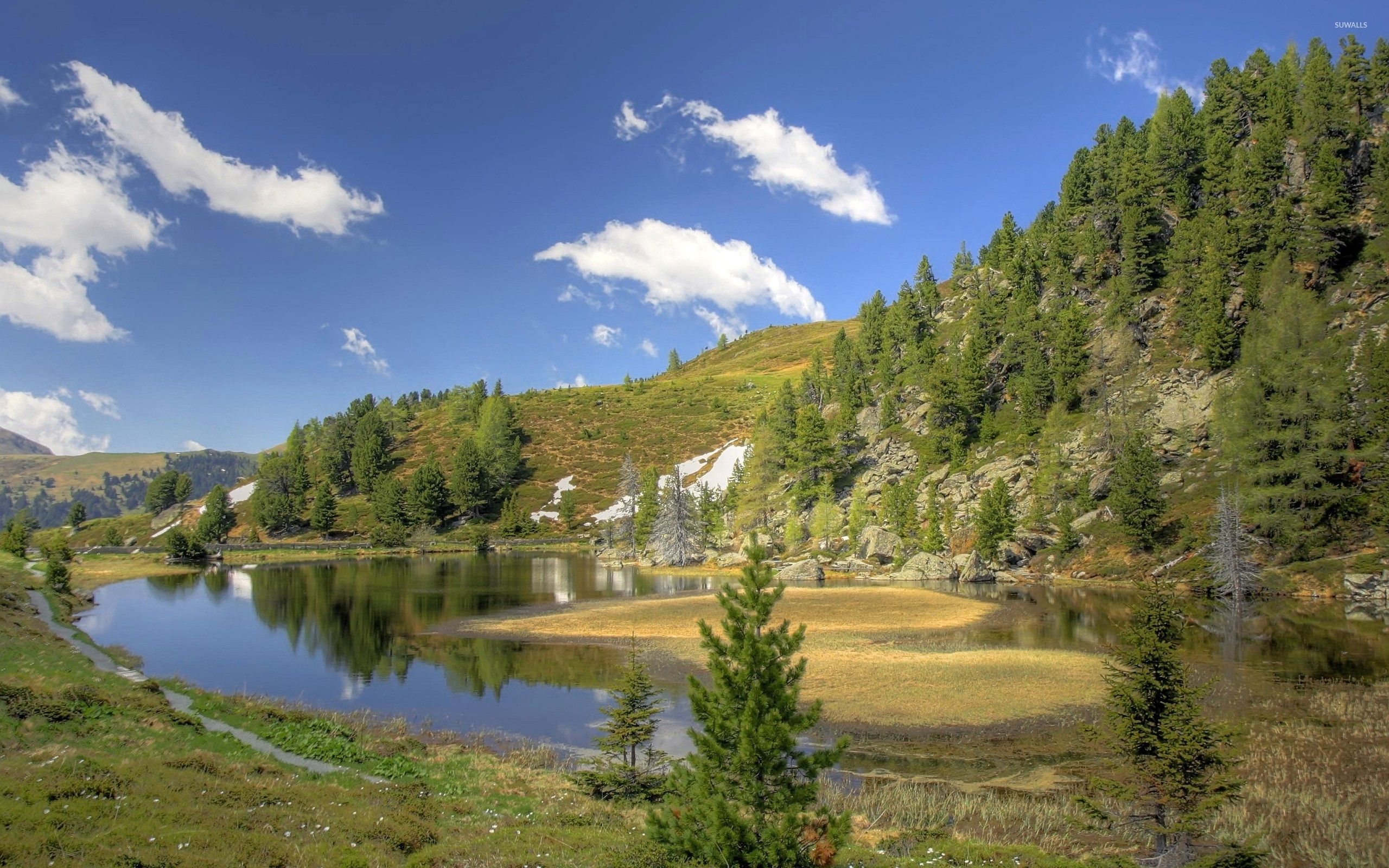 Pine trees on rocky hill on a beautiful