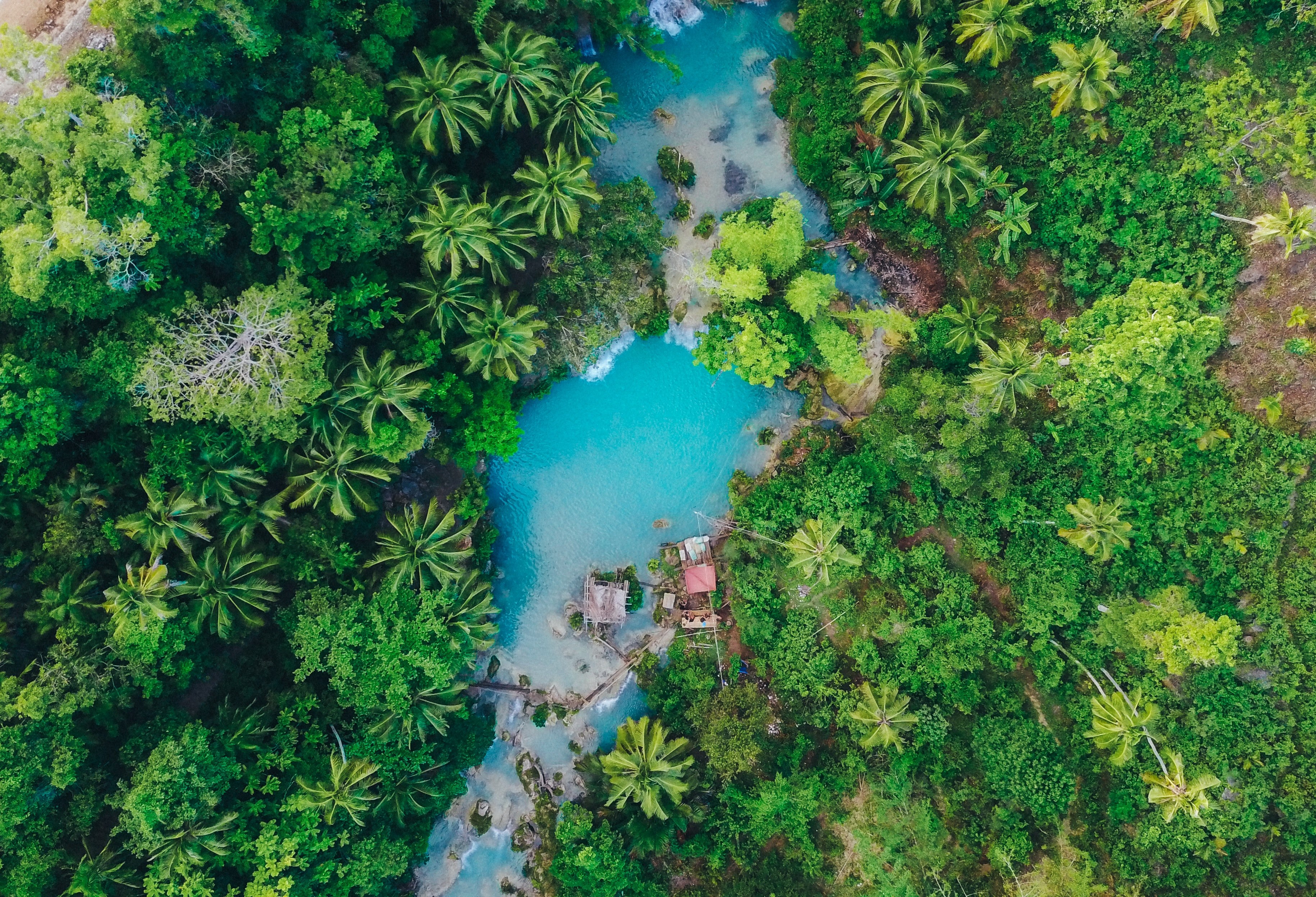 Wallpaper / drone view of a tropical forest resort area, _waterfall in the jungle 4k wallpaper free download