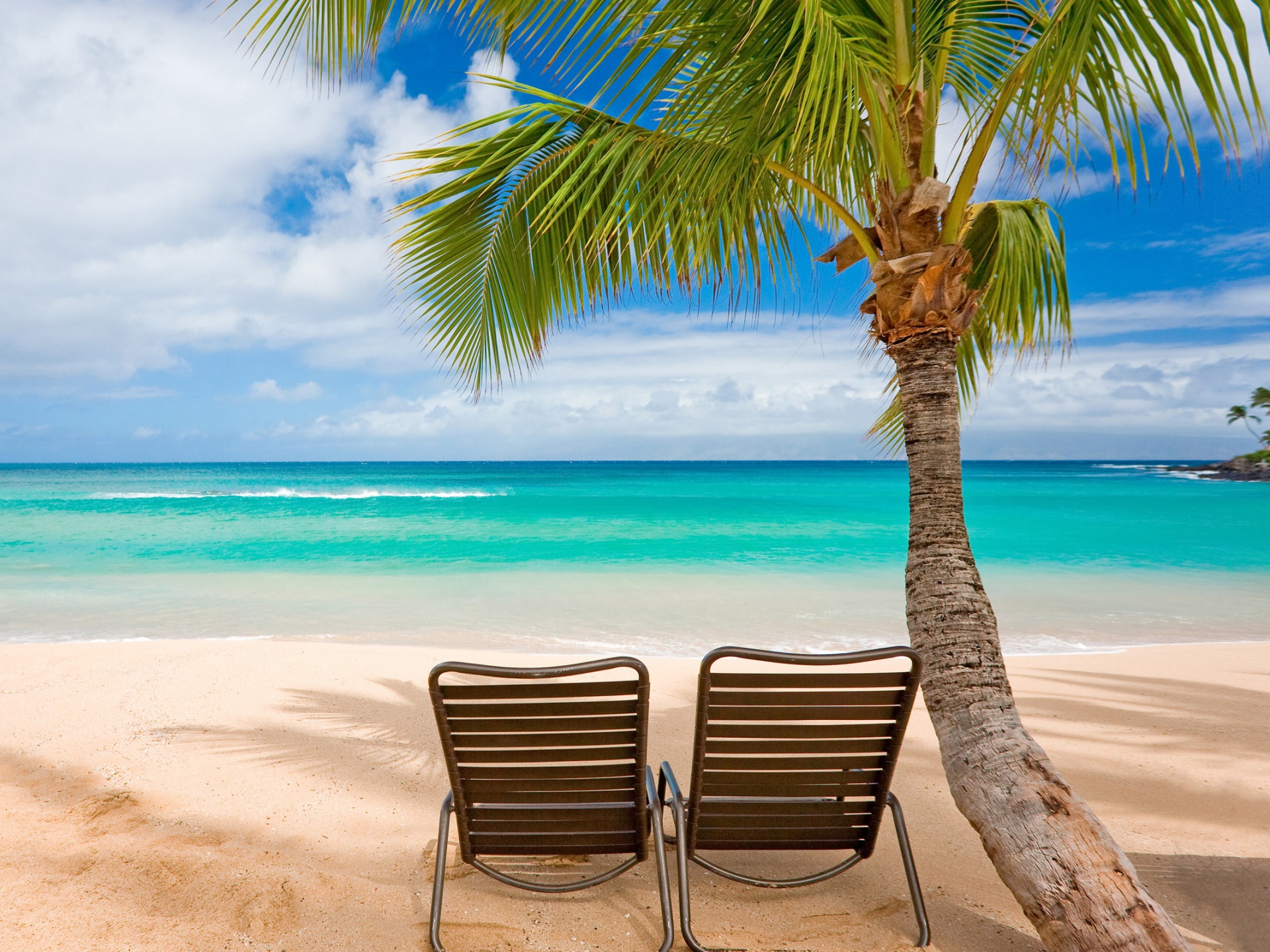 summer beach background