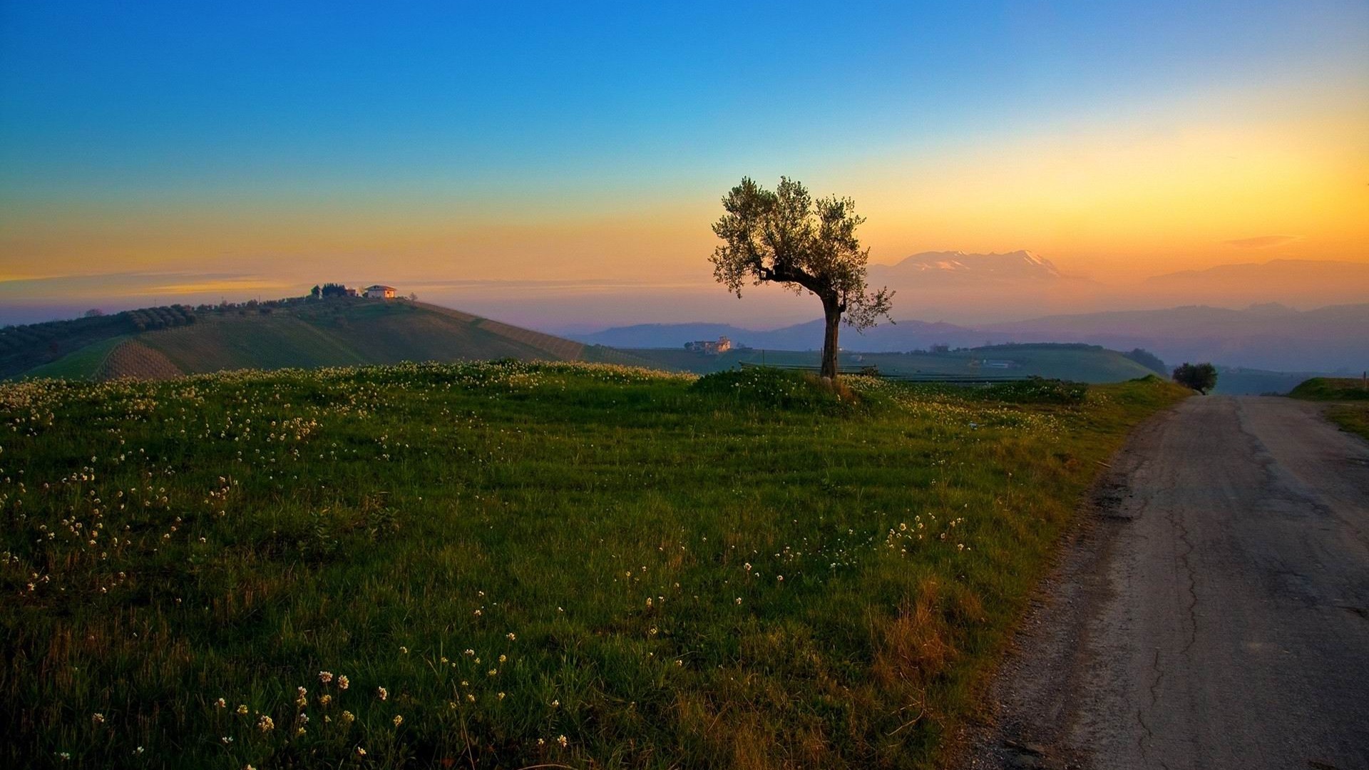 Road Field Plain Summer Photo HD Wallpaper