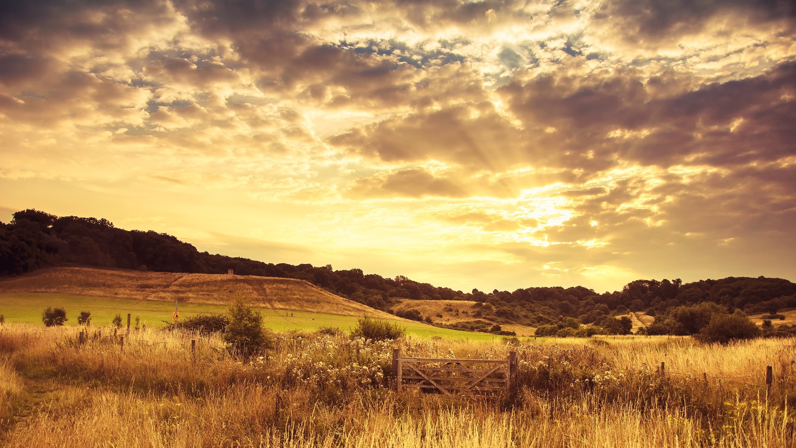Wallpaper, sunlight, landscape, sunset, hill, nature, sky, field, sunrise, evening, morning, Sun, horizon, summer, wilderness, dusk, plateau, steppe, cloud, tree, mountain, dawn, grassland, meadow, plain, 2560x1440 px, prairie, rural area, natural
