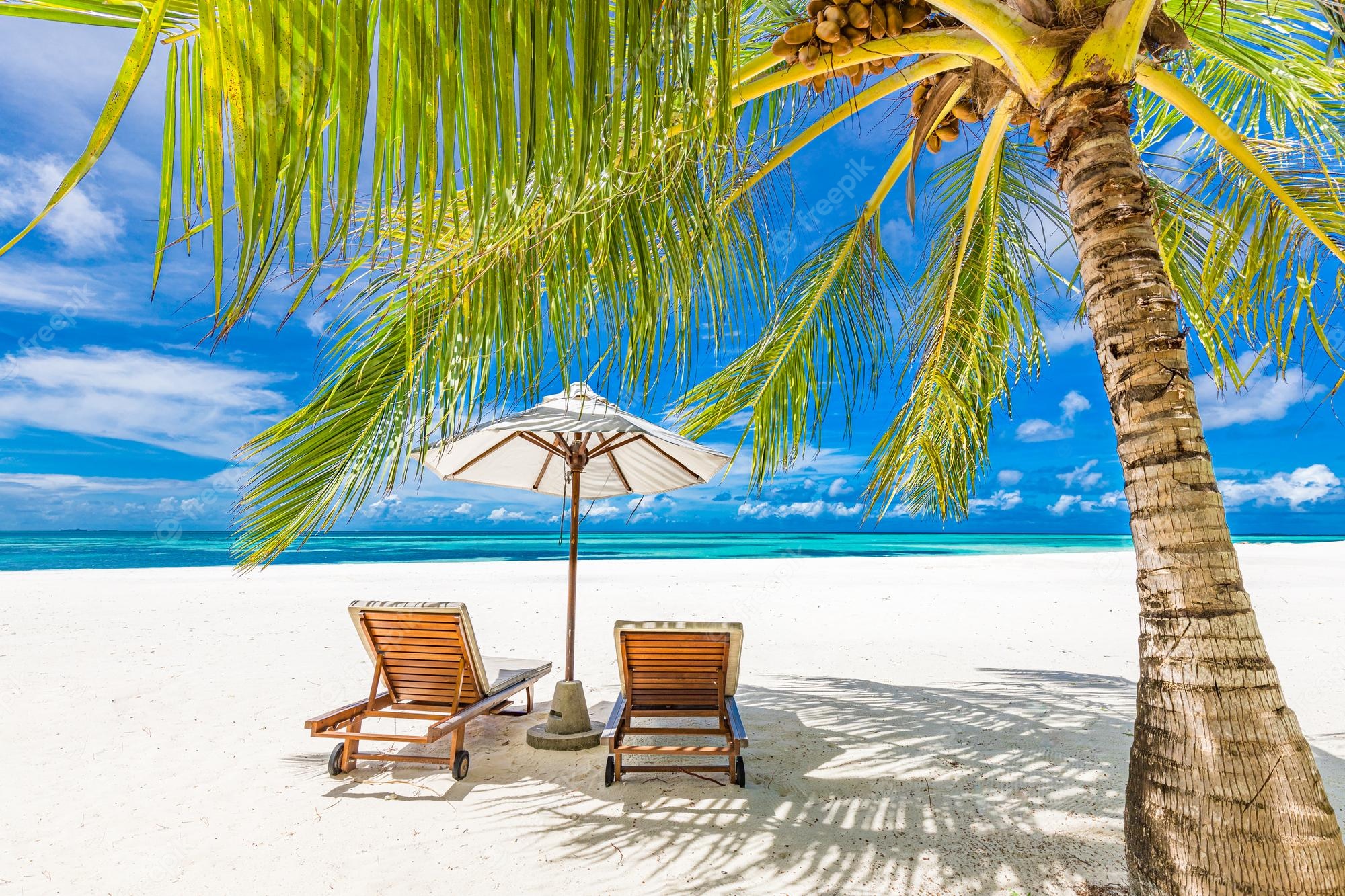 Premium Photo. Tranquil beach scene. exotic tropical beach landscape for background or wallpaper. design of summer