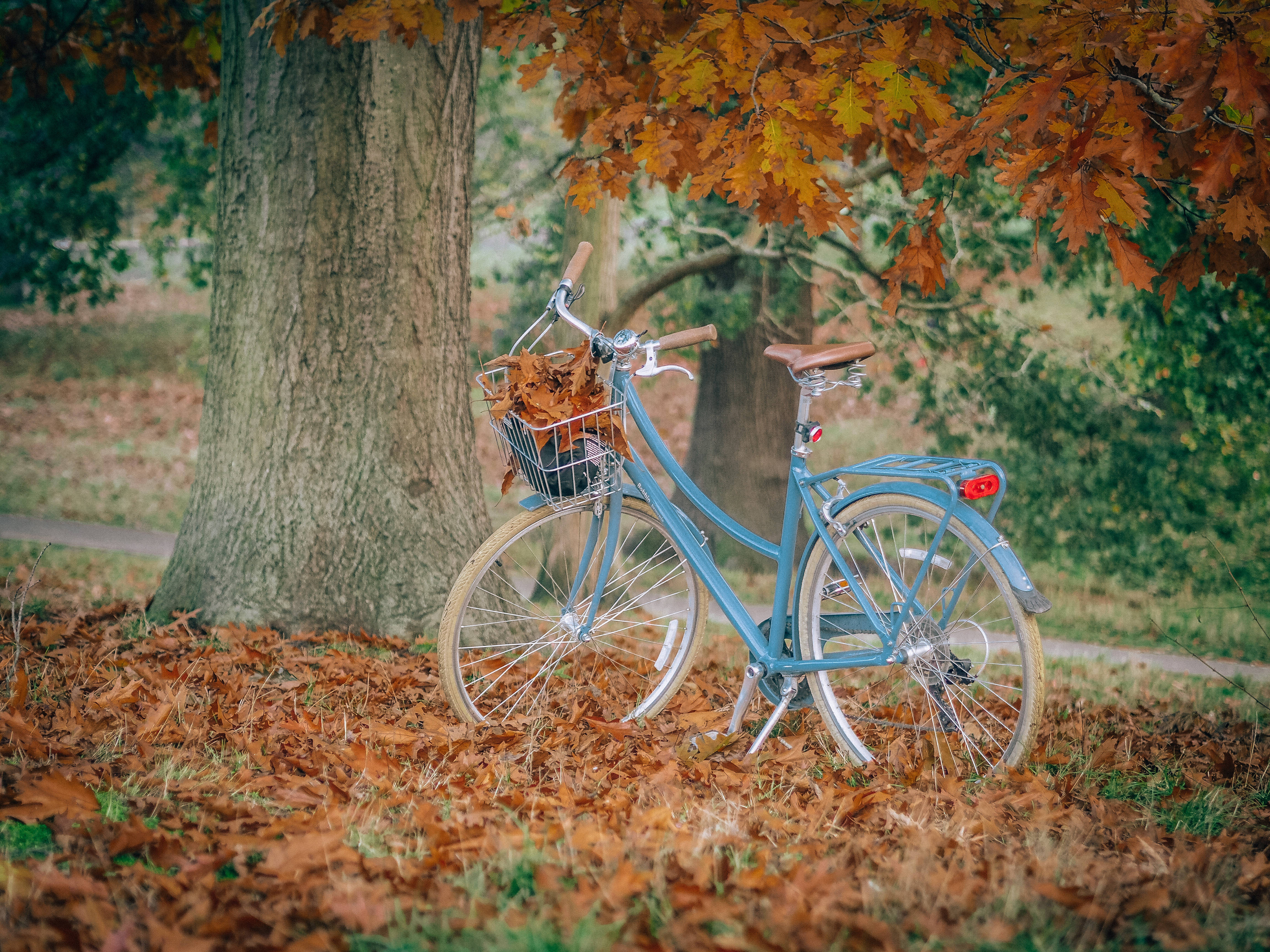 Download Capturing the beauty of the city on a bike in the autumn season. Wallpaper