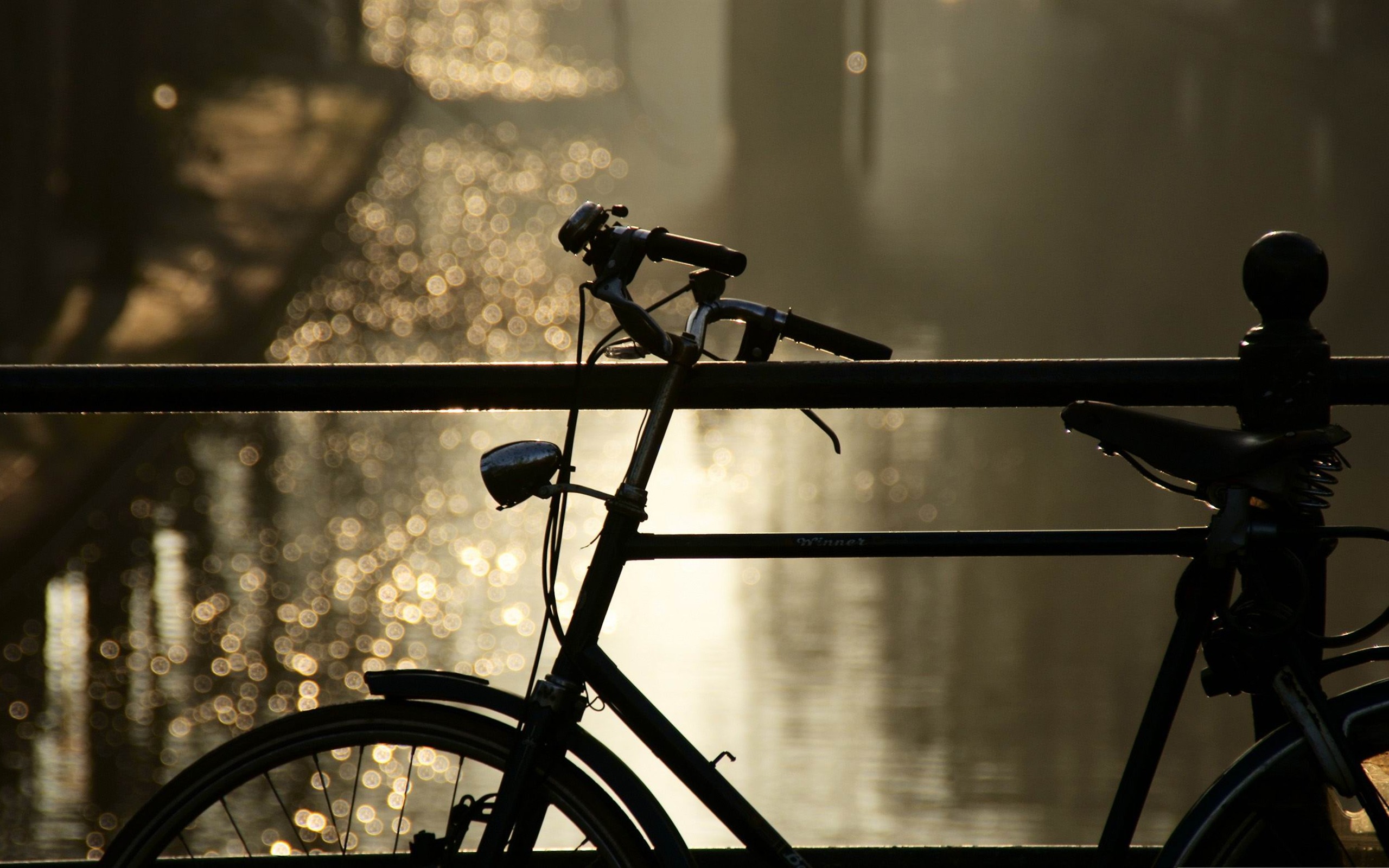 Bicycle Bokeh Autumn Nature Wallpaper