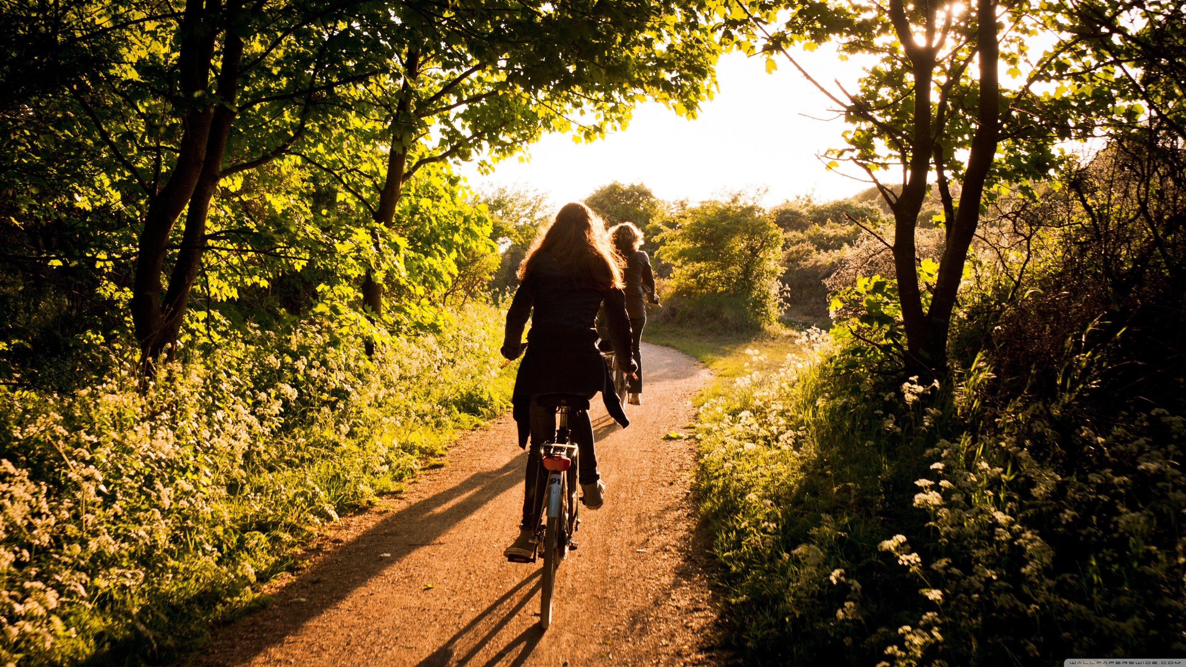 Wallpaper, sports, sunlight, trees, forest, bicycle, vehicle, women with bikes, tracks, cycling, autumn, season, trail, mountain bike, outdoor recreation, mountain biking 3840x2160