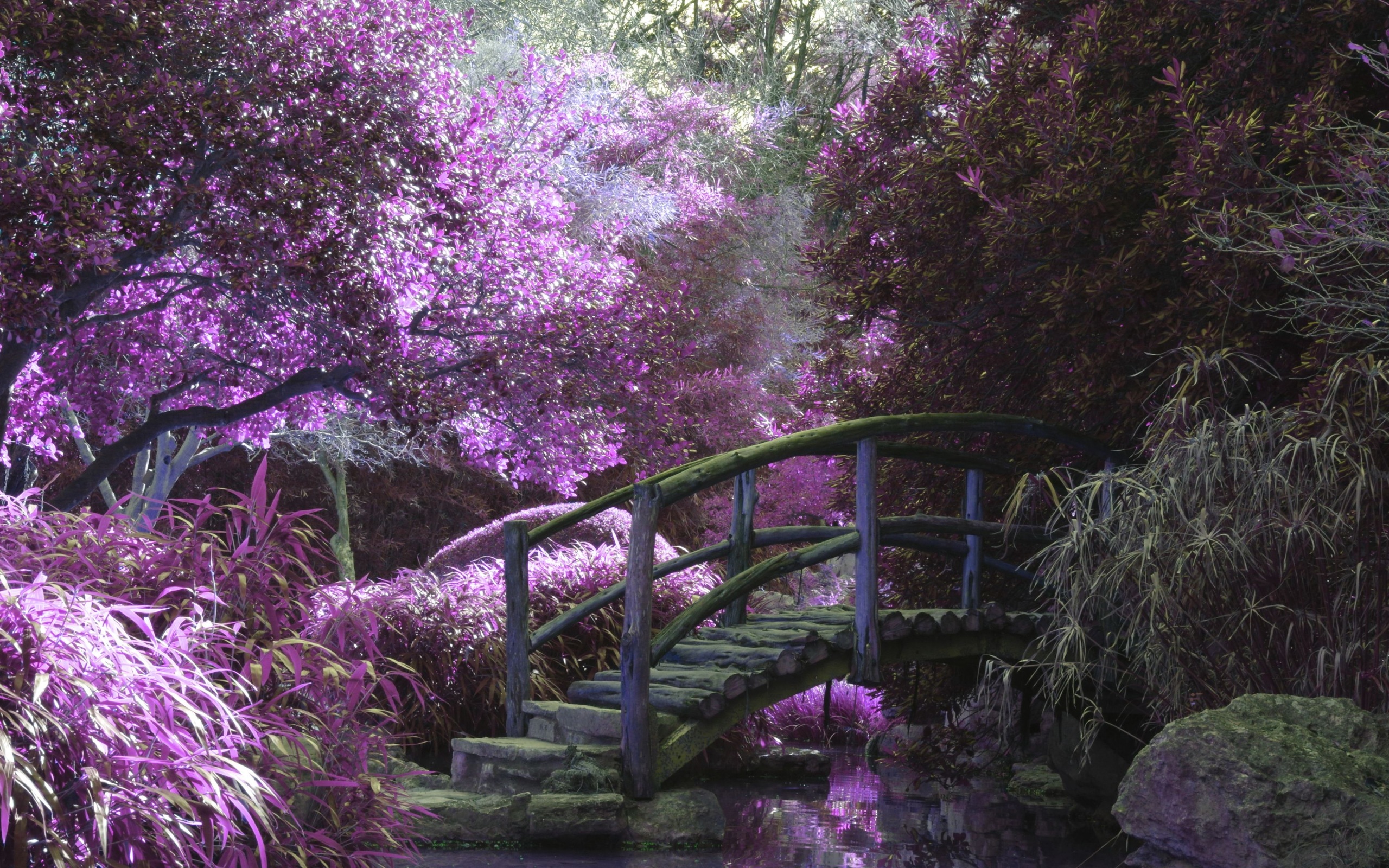 Wallpaper 4k Magical Garden 4k Wallpaper