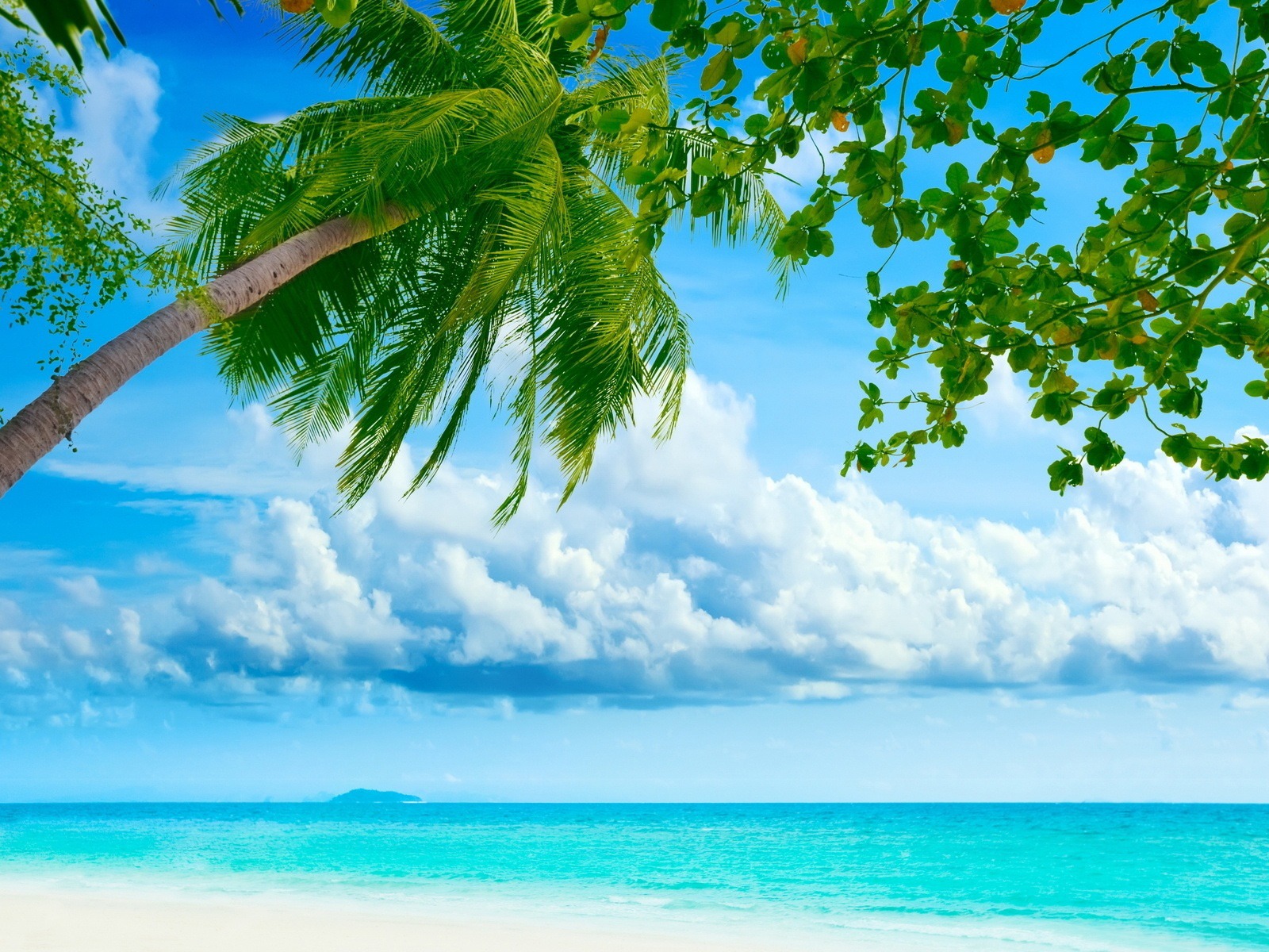 Tropical Beach Resorts Summer Scenery HD Wallpaper