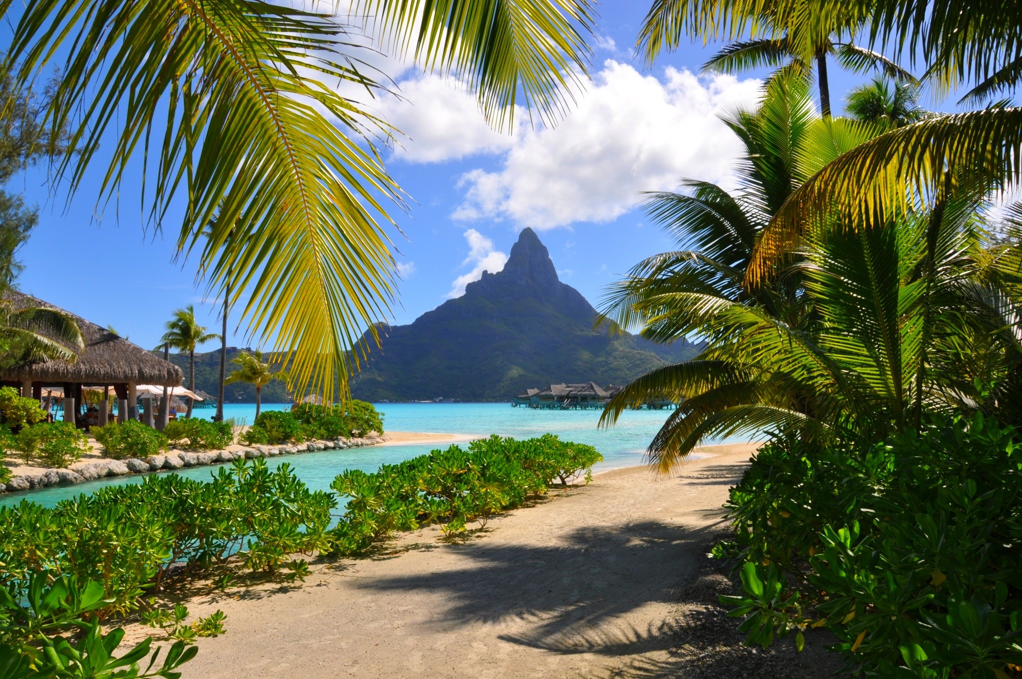 beach, mountains, French Polynesia, landscape, Bora Bora, nature, resort, palm trees, summer, clouds, sea, shrubs, tropical Gallery HD Wallpaper