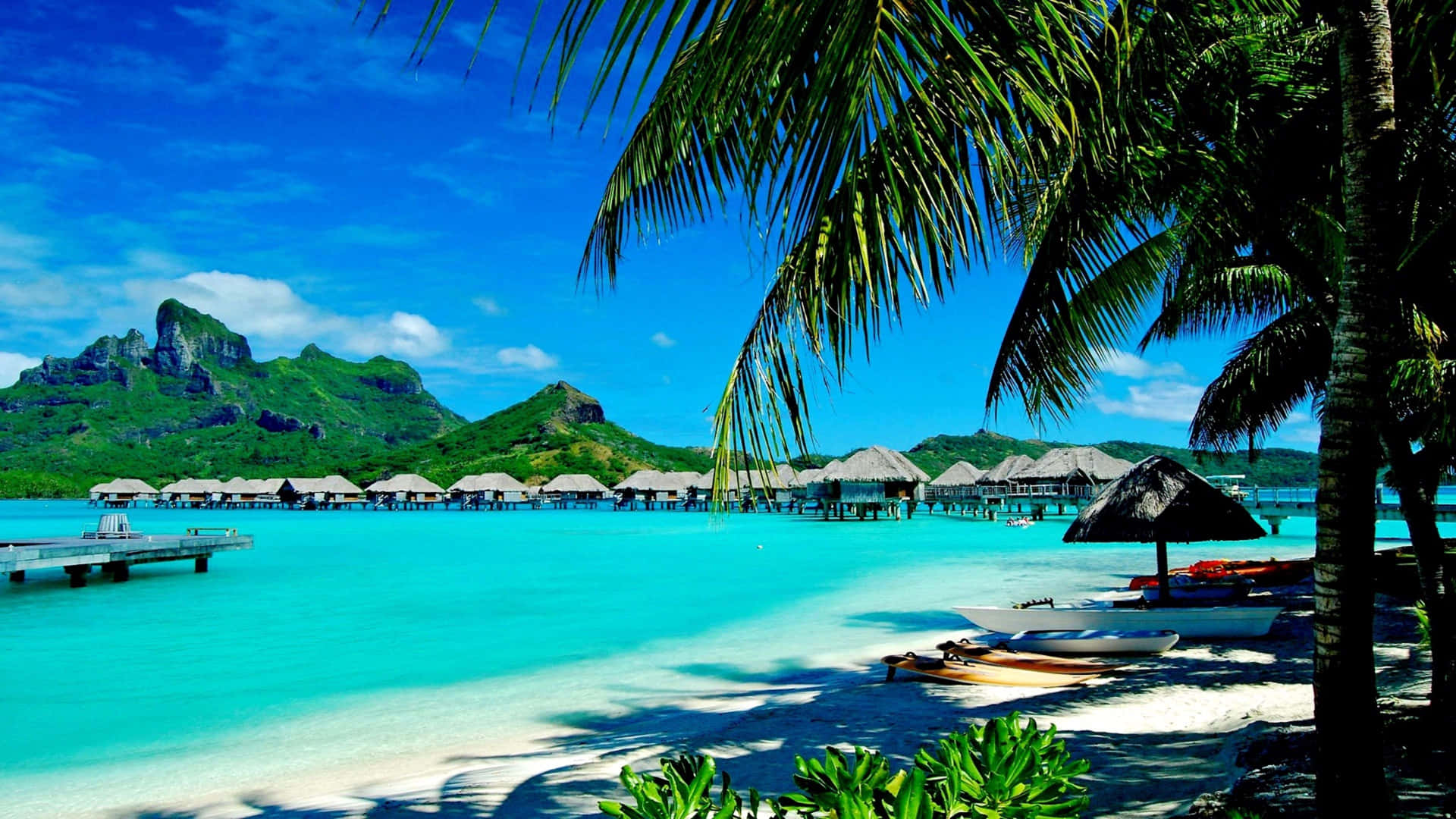 Download Relaxing Beach Resort Summer Background