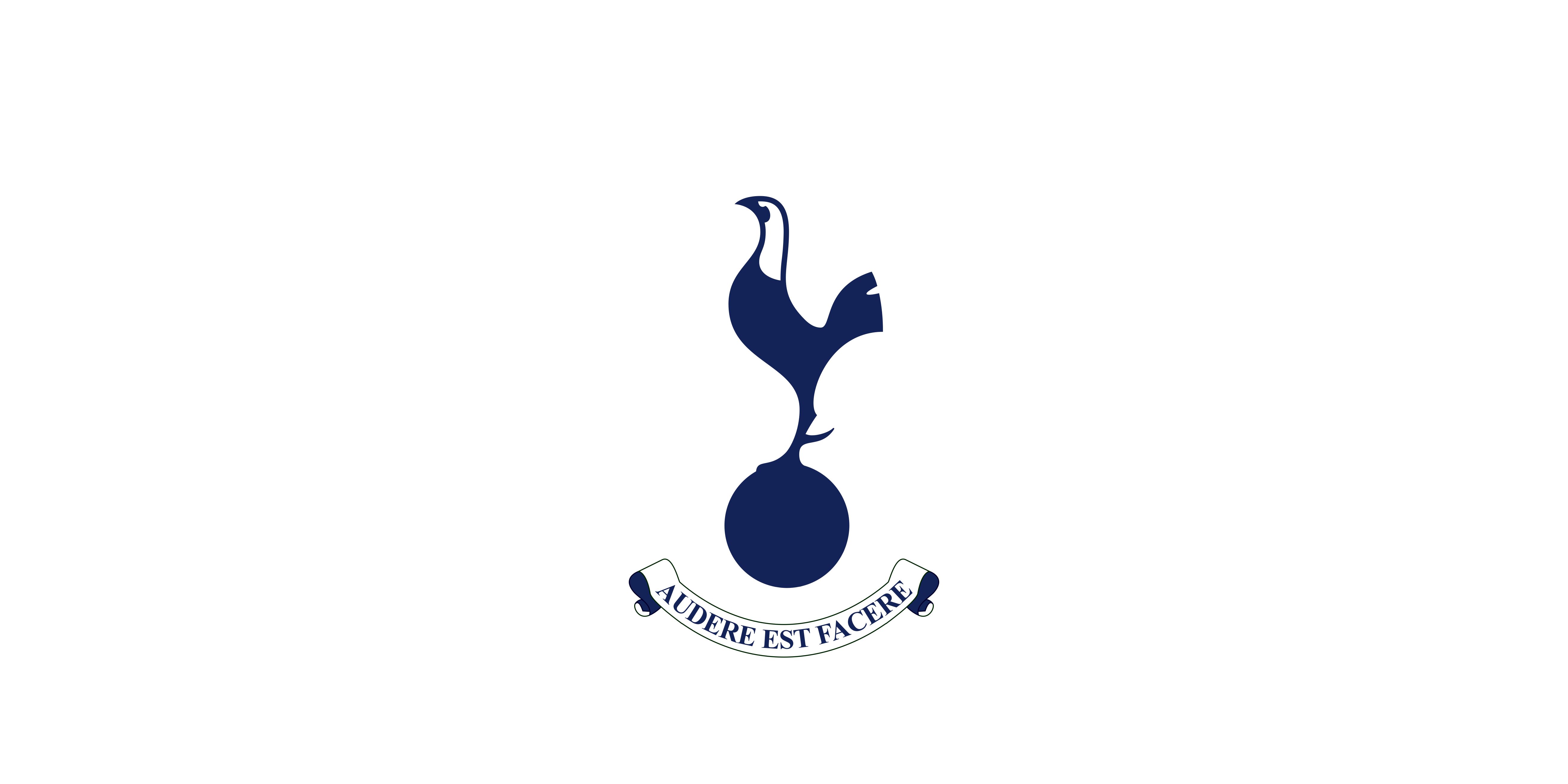 Tottenham Hotspur F C wallpaper for desktop, download free Tottenham Hotspur F C picture and background for PC