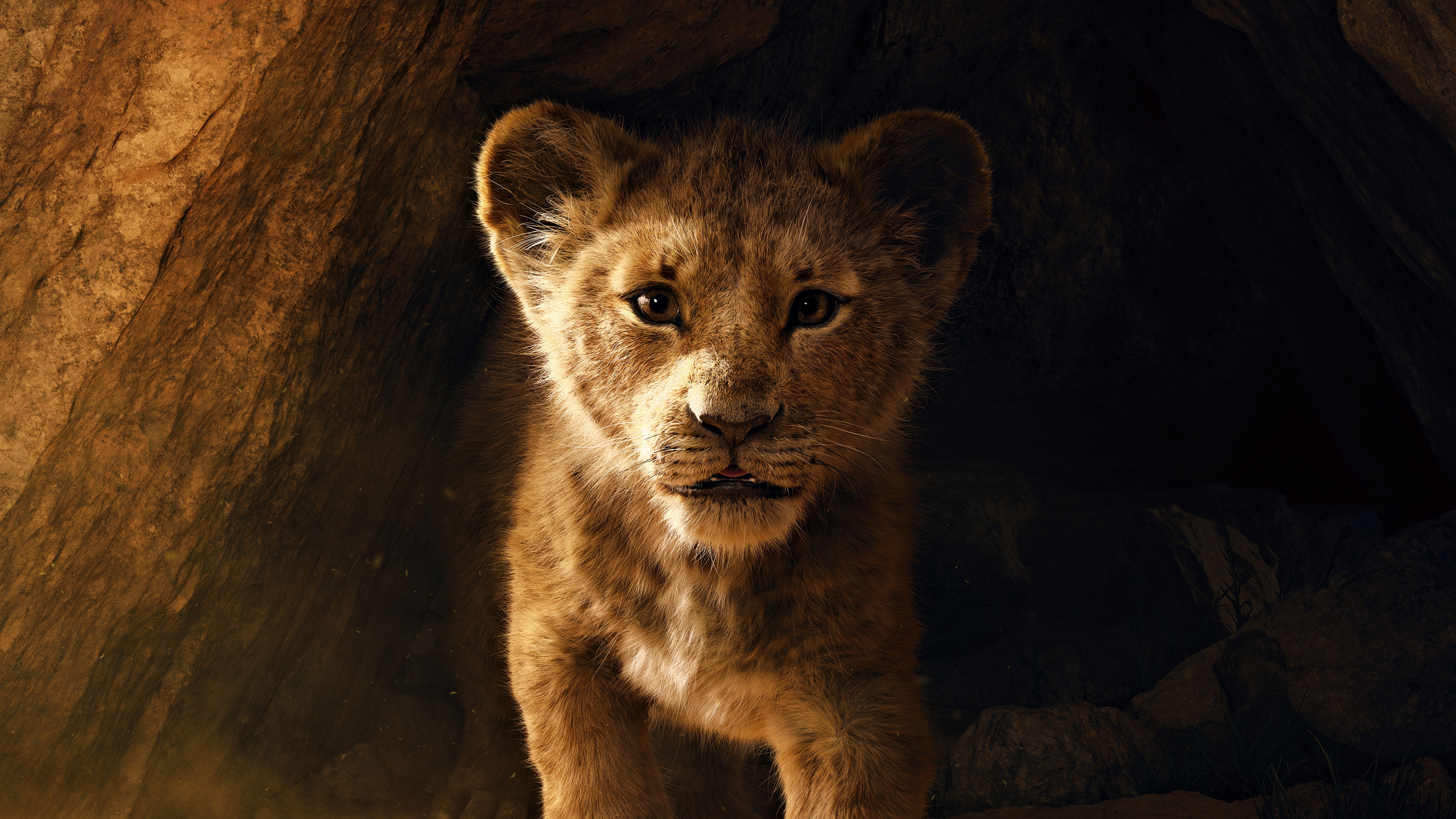 The Lion King Wallpaper 4K, Simba, Lion cub, 5K
