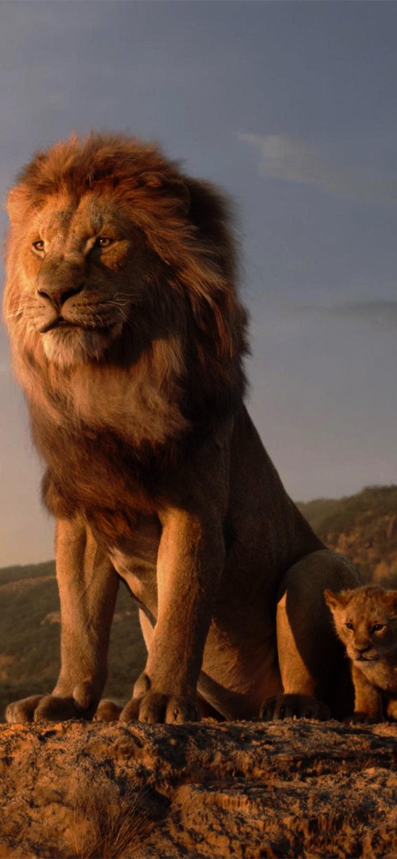 The Lion King Resolution HD Movies 4K Image Photo. iPhone Wallpaper Free Download