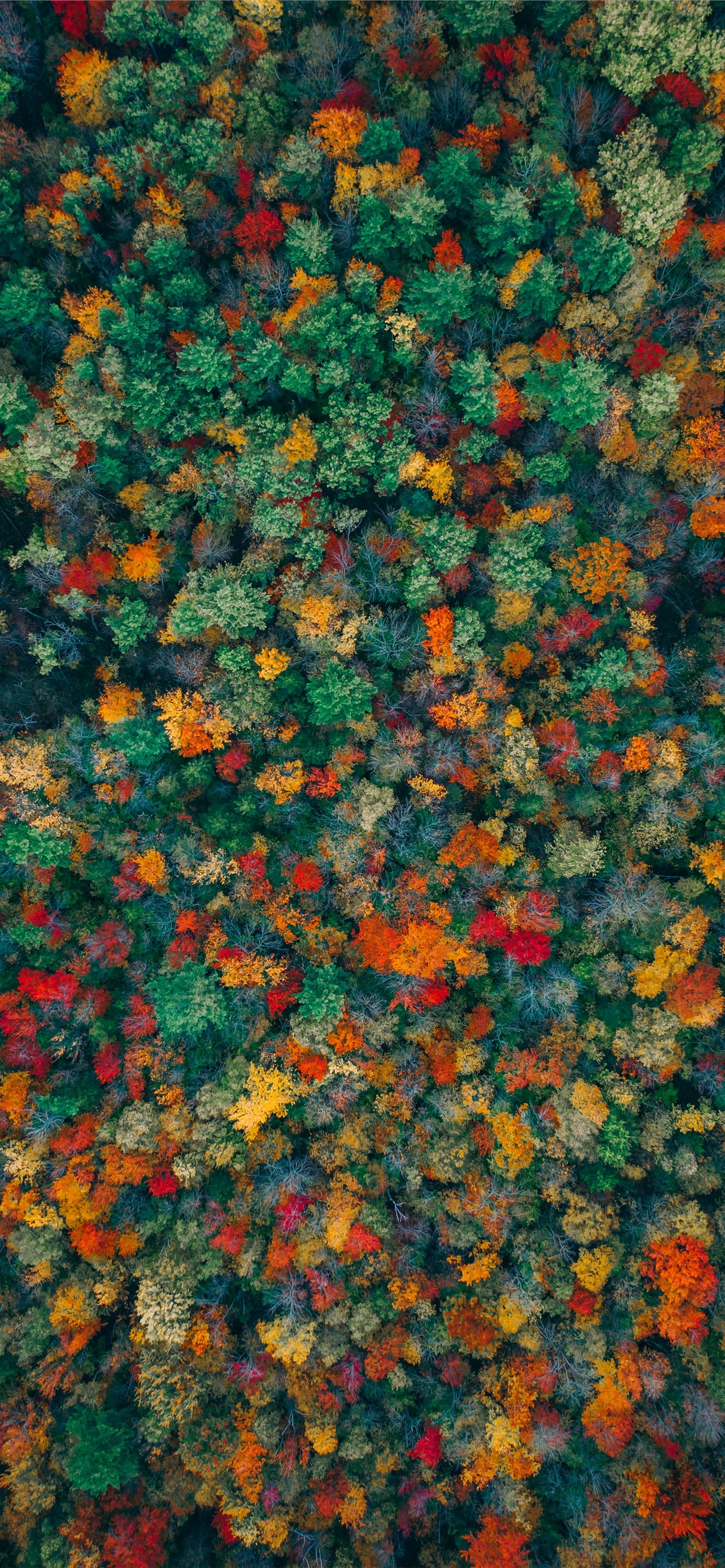 4k Autumn iPhone Wallpapers - Wallpaper Cave