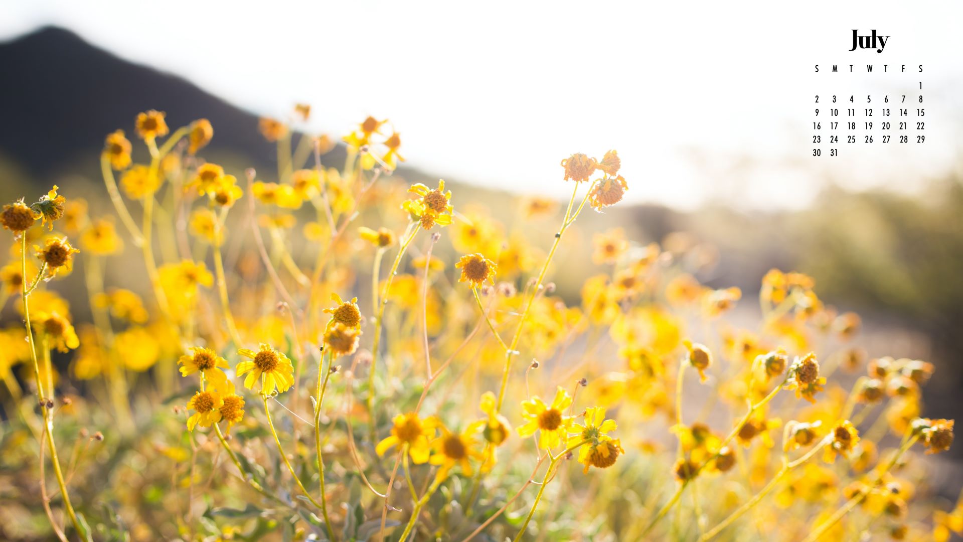 July Calendar Wallpaper Best Styles For Your Desktop Or Phone Background