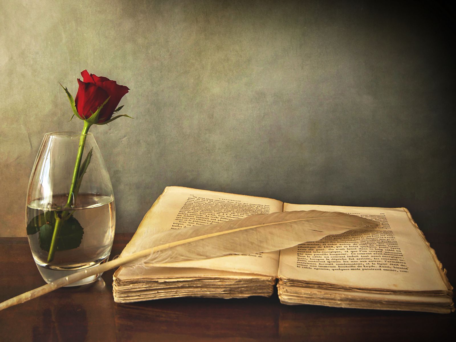 Download wallpaper 1600x1200 book, old, pen, table, vase, rose, red standard 4:3 HD background