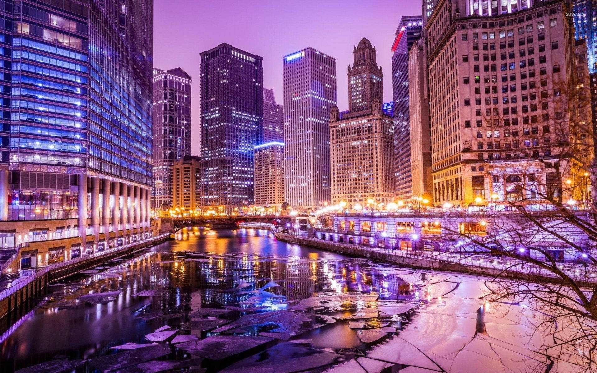 Download Purple Lights In Chicago City Wallpaper