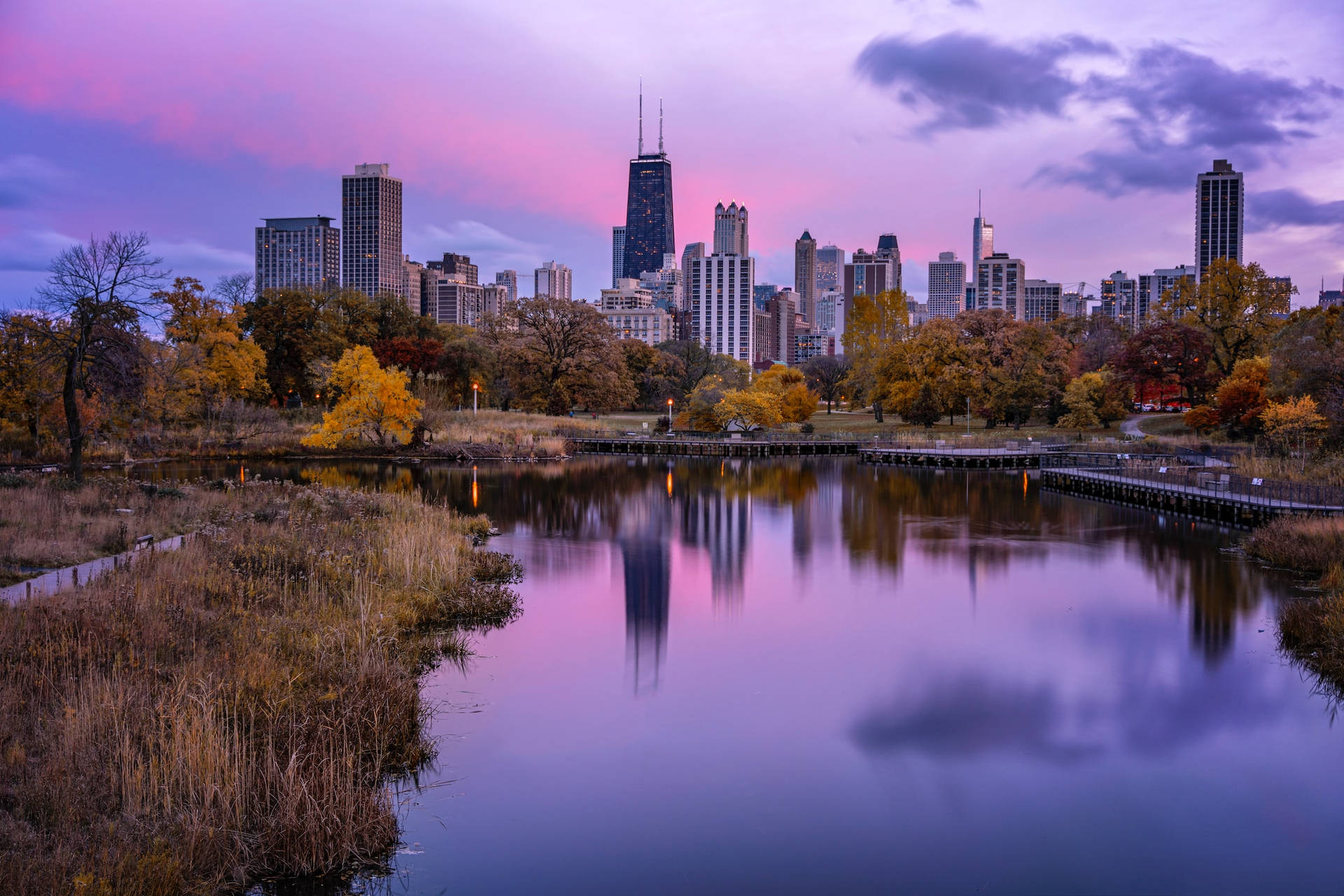Download Purple Lincoln Park Chicago Skyline Wallpaper