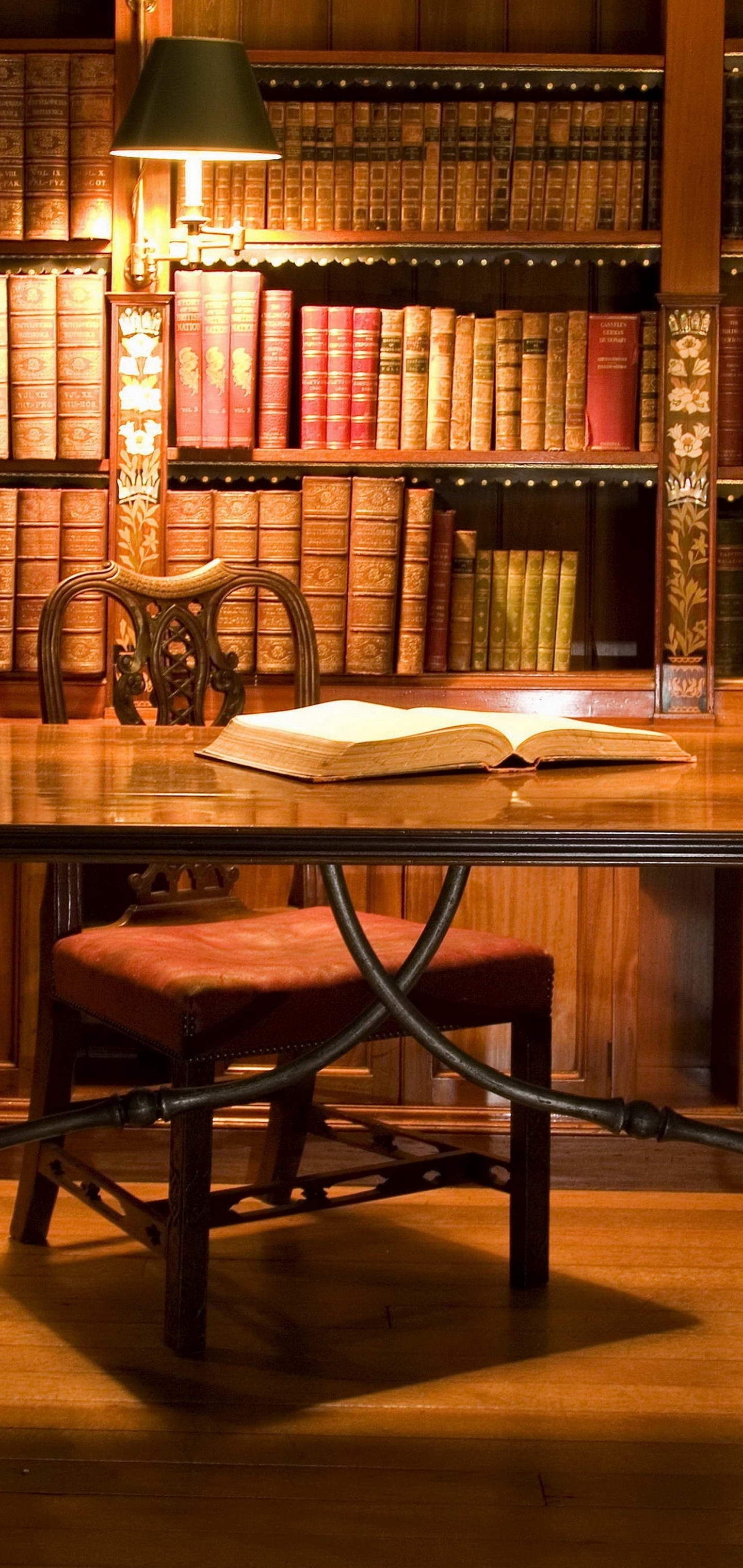 Cabinet Table Book Globe Wallpaper - [1440x3040]