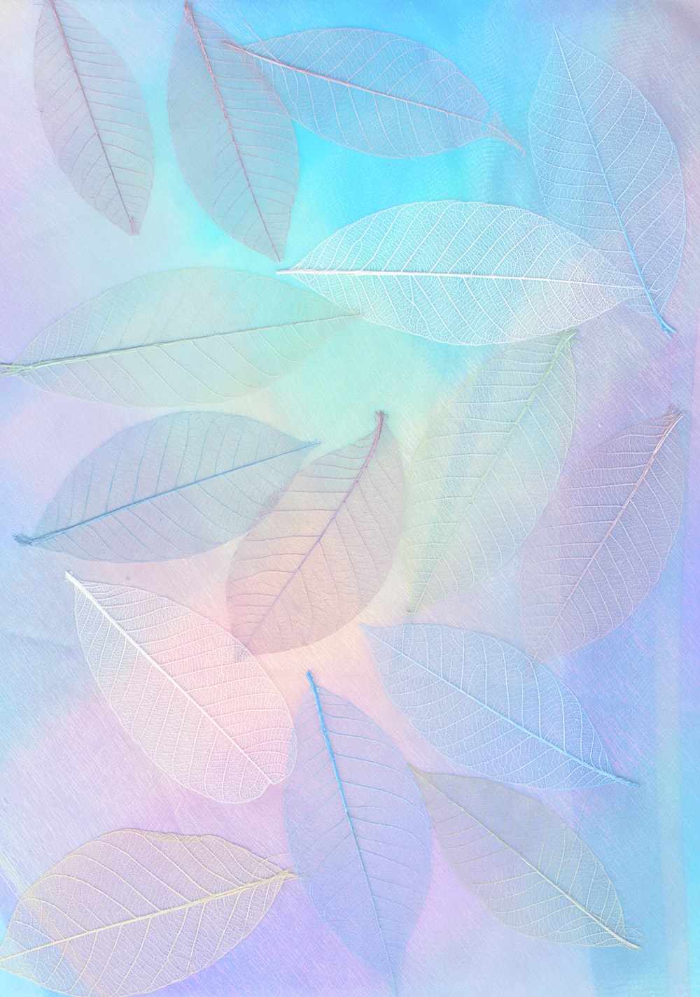 Pastel Wallpaper: Free HD Download [HQ]