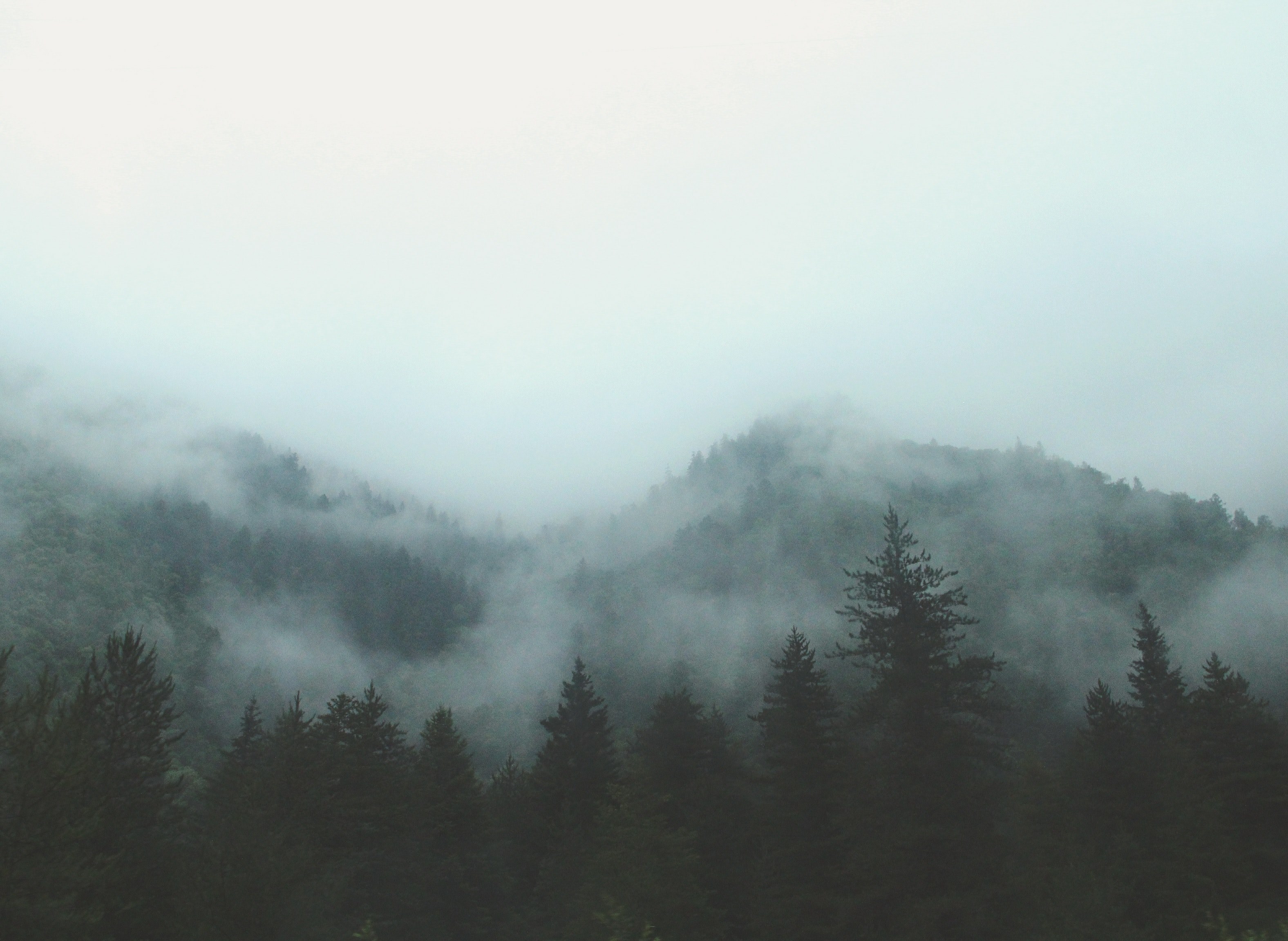Wallpaper / cloud mountain overcast and forest HD 4k wallpaper free download