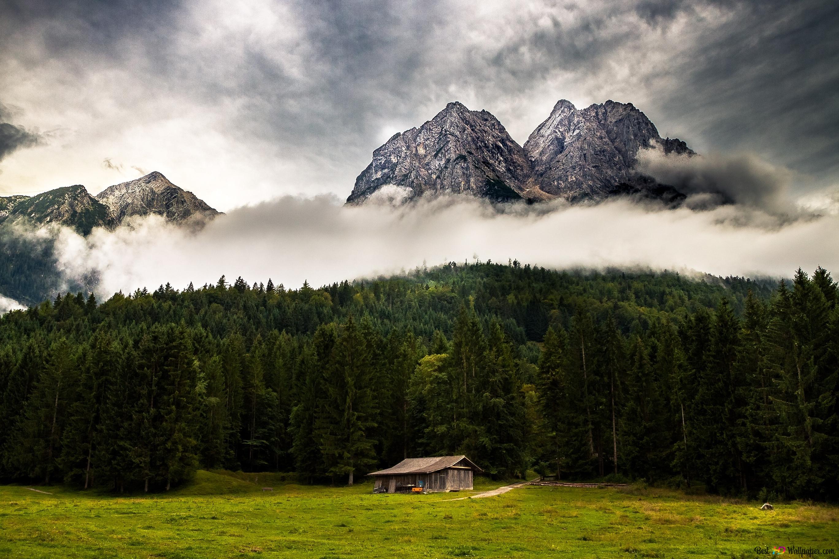 Clouds between mounth and forest 4K wallpaper download