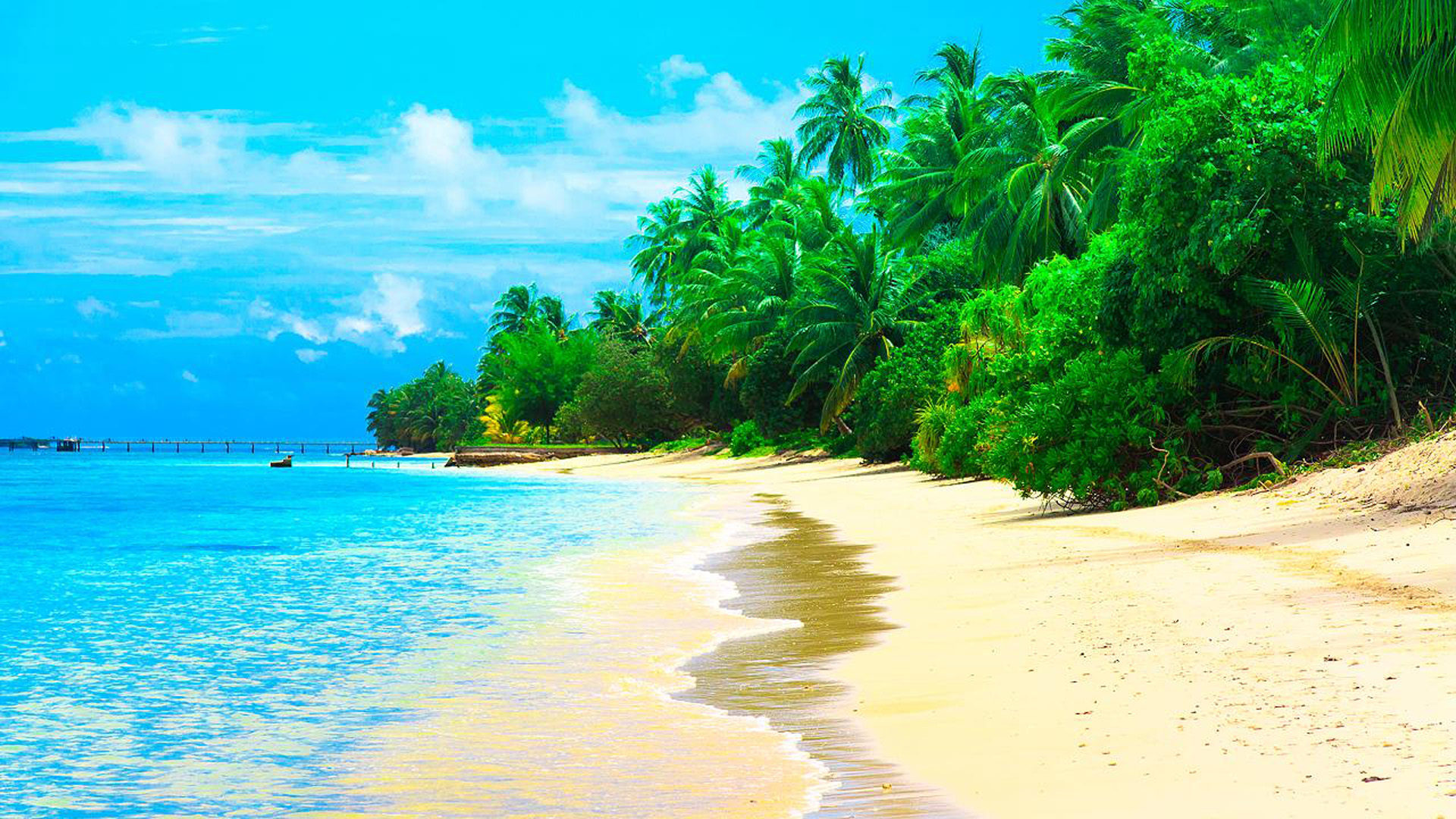 Maldives Summer Resort Sea Sandy Beach Coconut Trees Waves Desktop Wallpaper HD 1920x1080, Wallpaper13.com