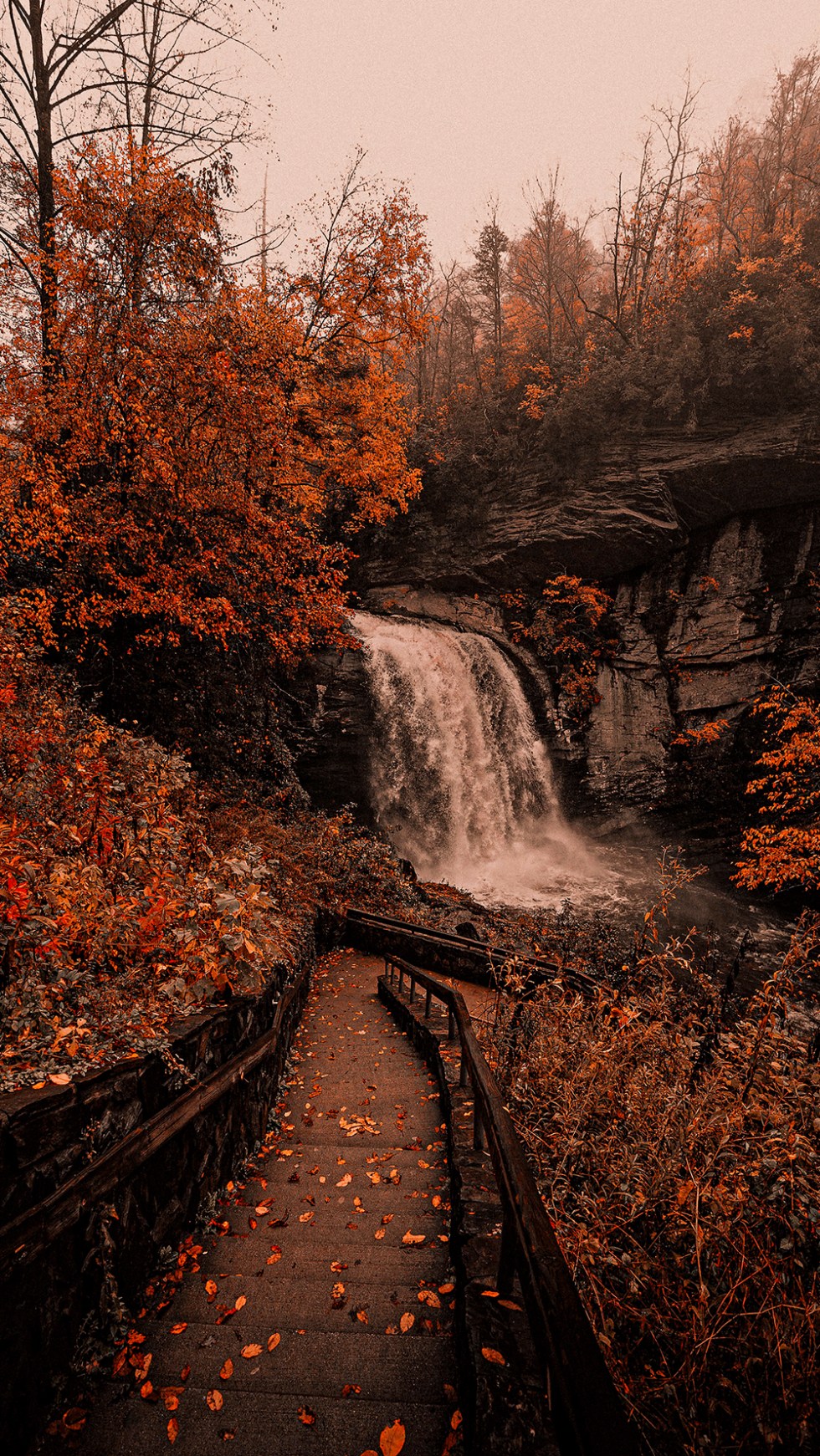 Hello Autumn! Aesthetic fall social media posts & wallpaper / lock screens ⋆ The Aesthetic Shop