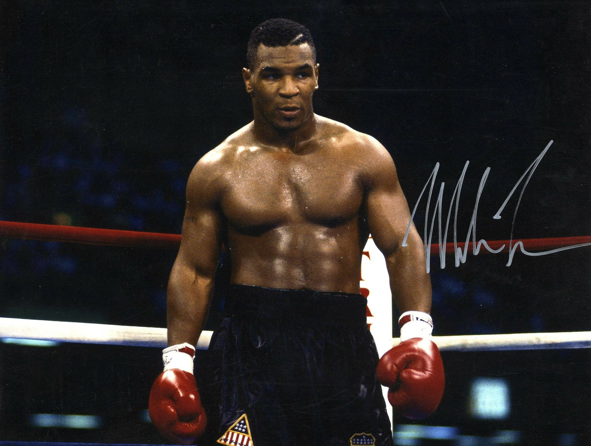 Download Mike Tyson 4K Signed Wallpaper