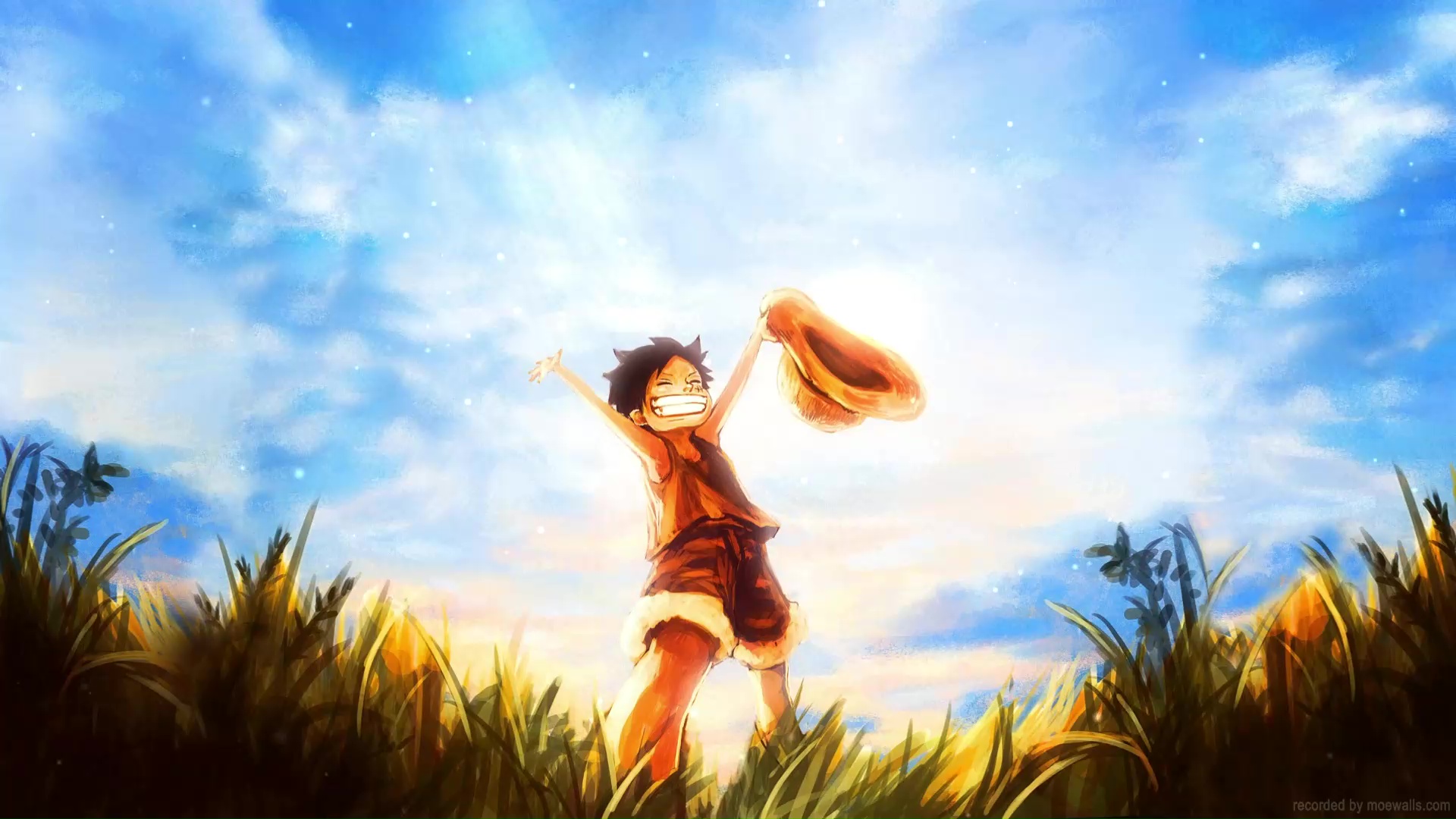 Luffy Kid Happy One Piece Live