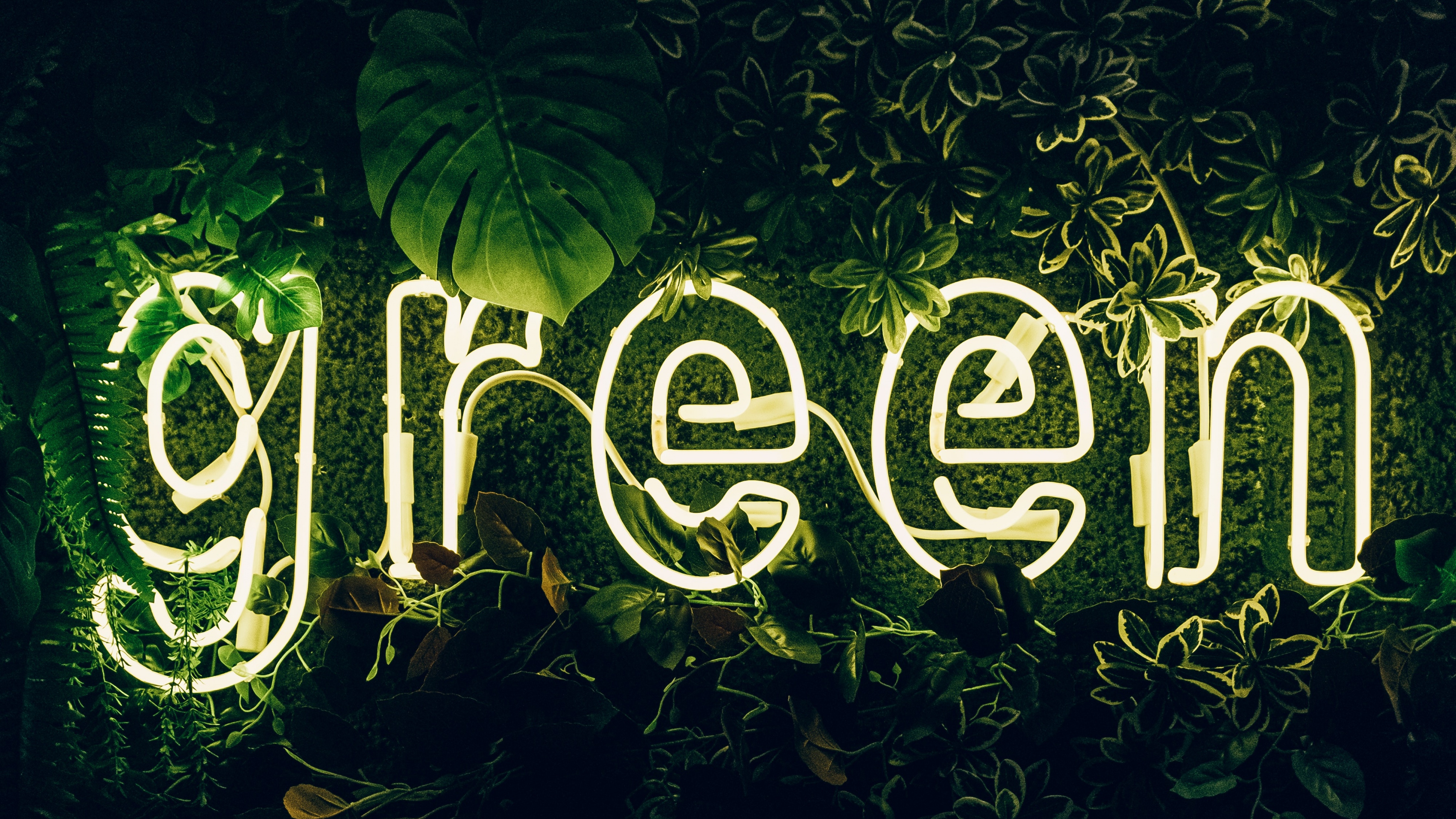 Green Wallpaper 4K, Neon sign, Plant