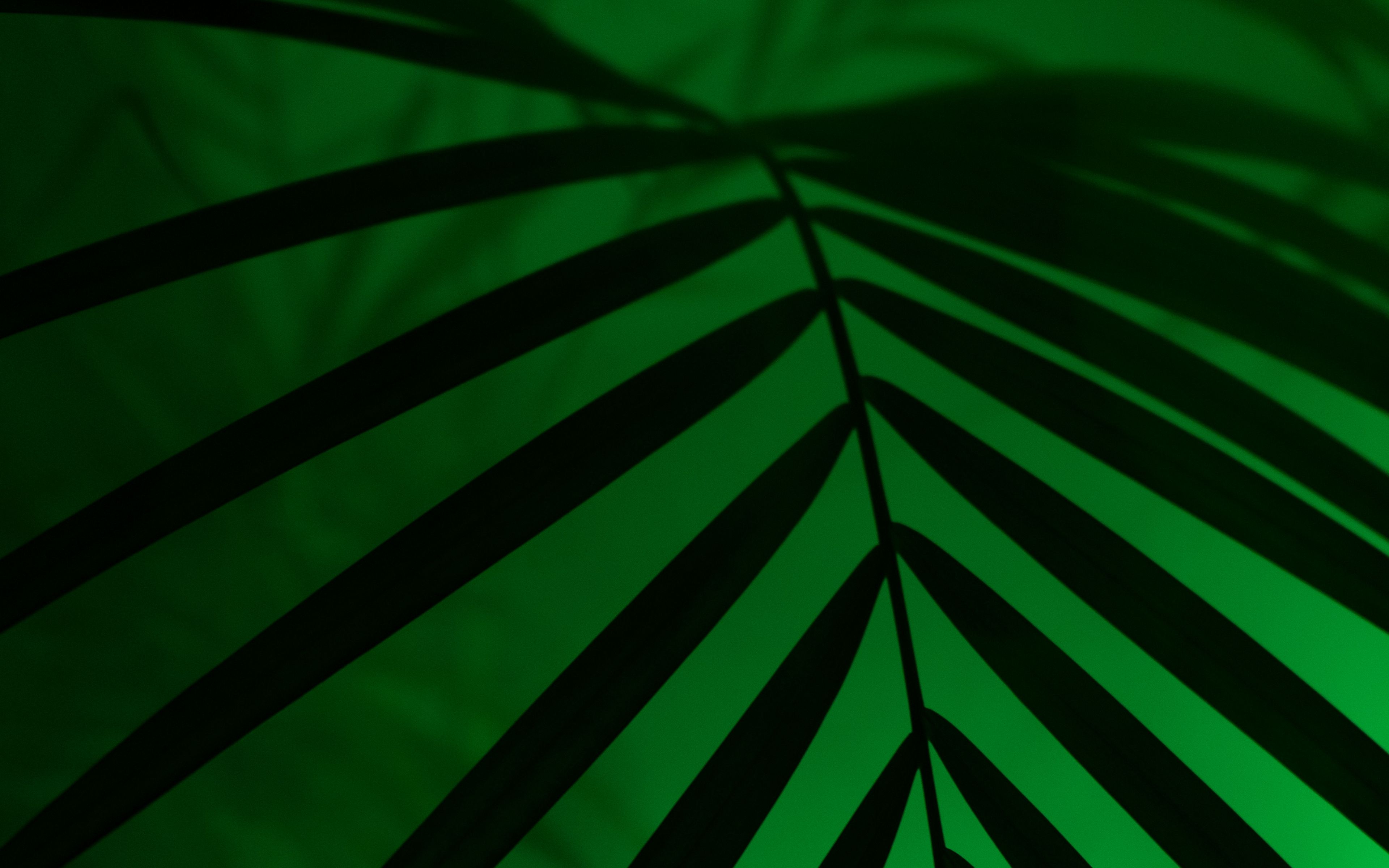 Download wallpaper 3840x2400 leaf, neon, palm, light, dark 4k ultra HD 16:10 HD background