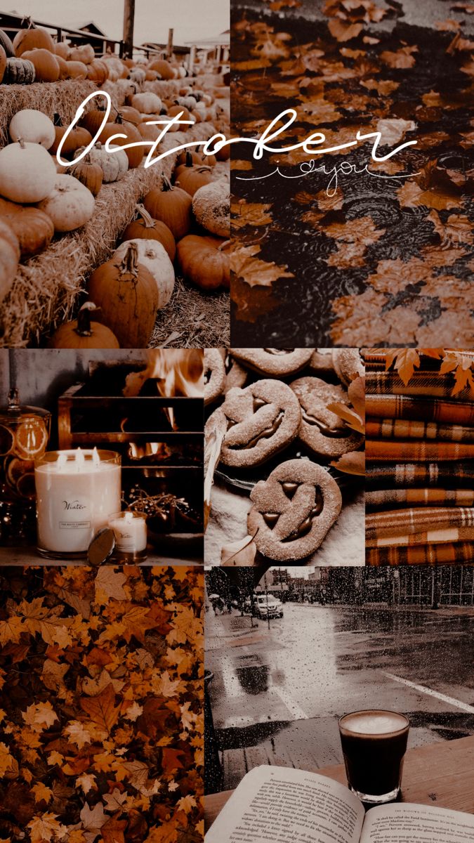 Autumn Collage Aesthetic Wallpaper