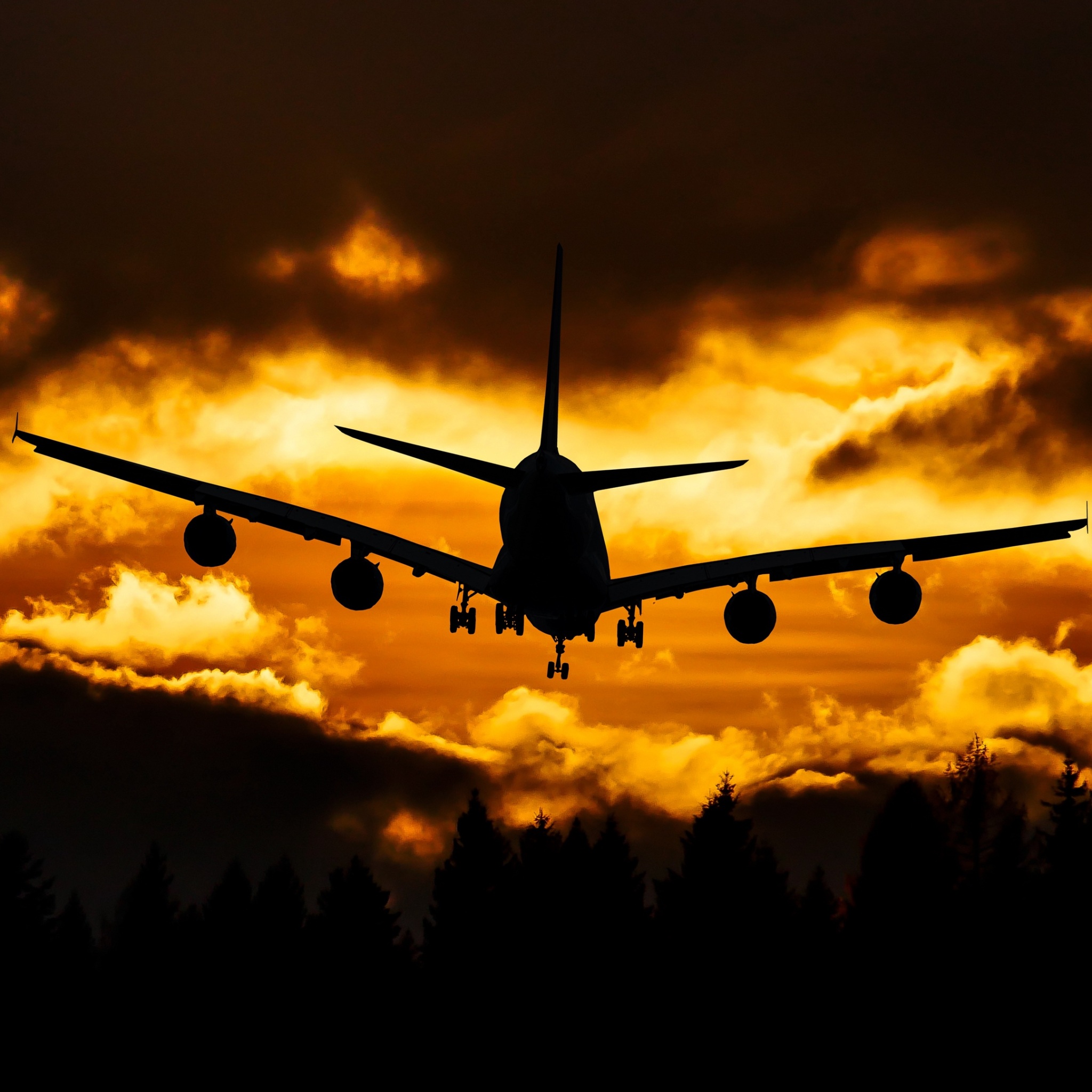 Wallpaper 4k airplane, clouds, sky, sunset 4k Wallpaper