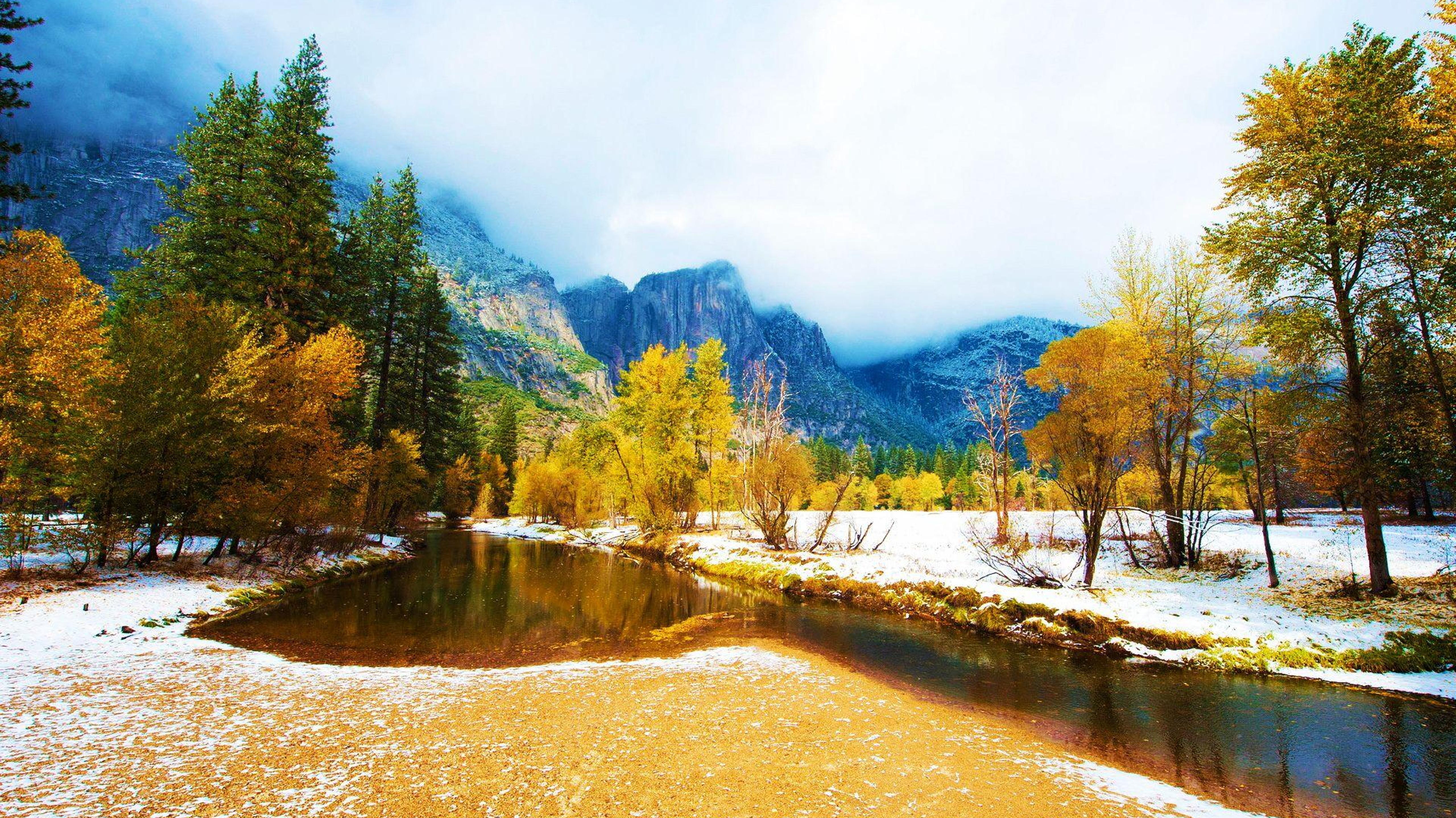 Golden Autumn field HD wallpaper