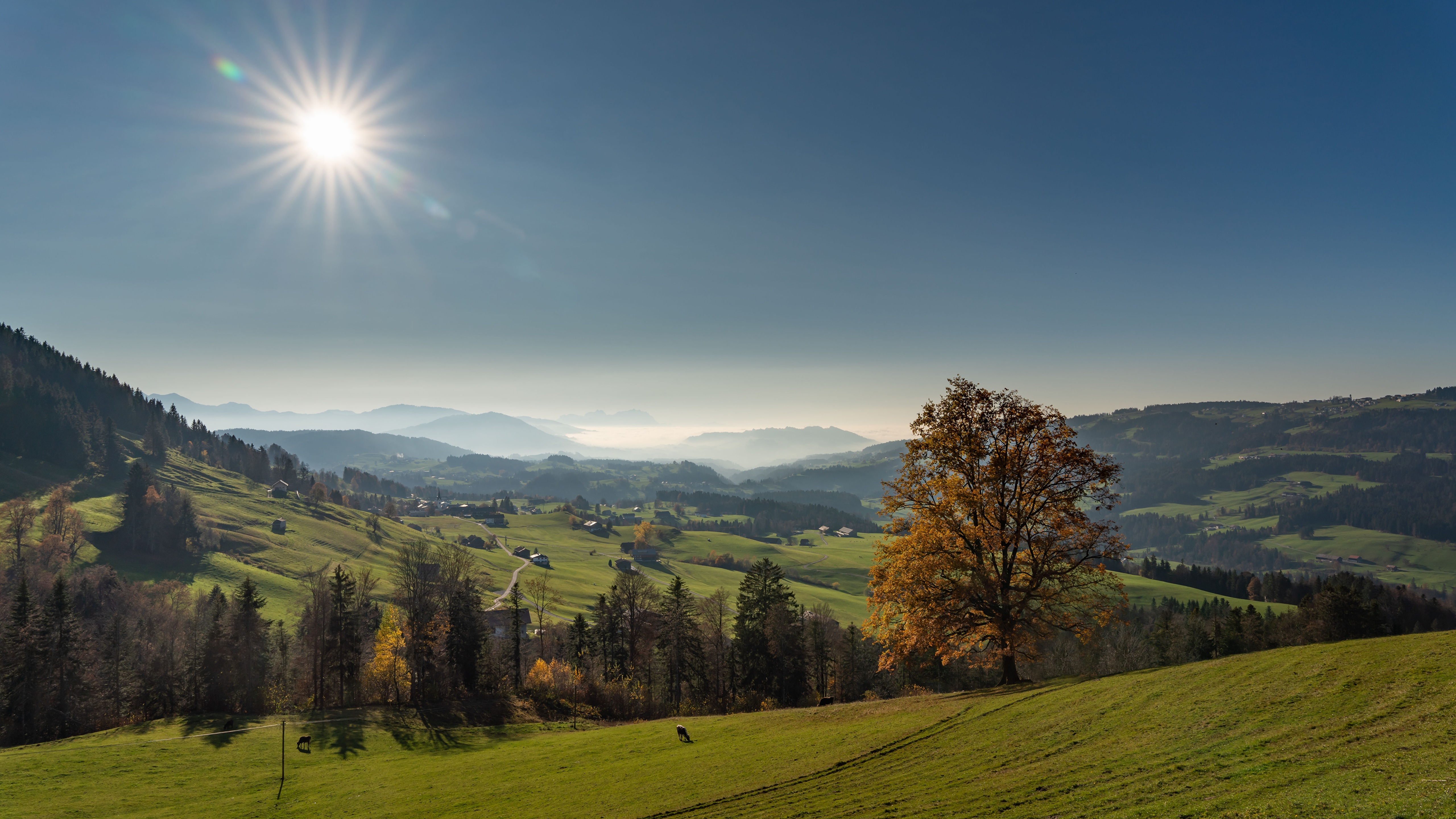 Desktop Wallpaper Germany Sun Autumn Nature Hill Meadow 5120x2880