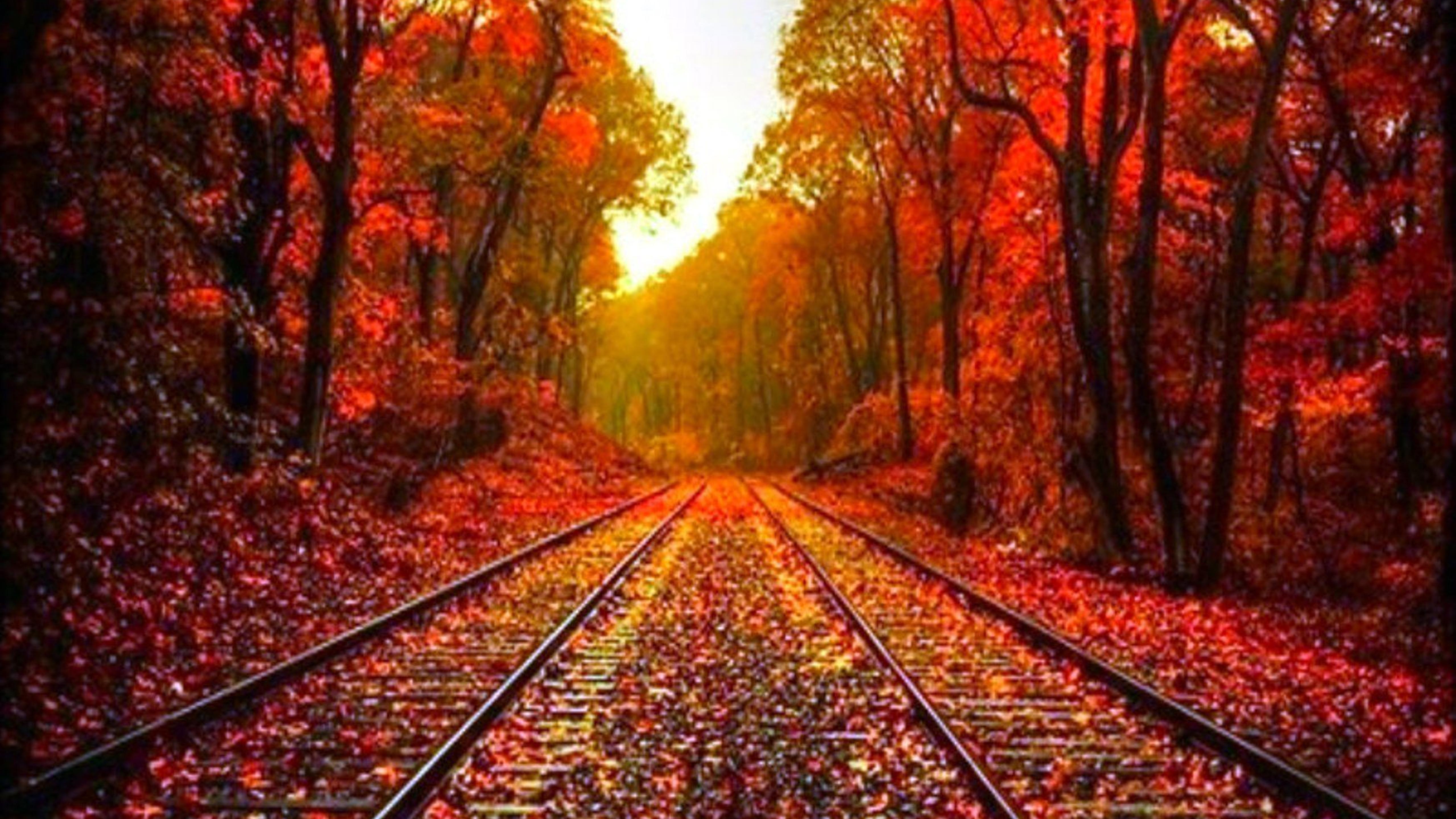 Autumn leaves on the rails wonderful wallpaper