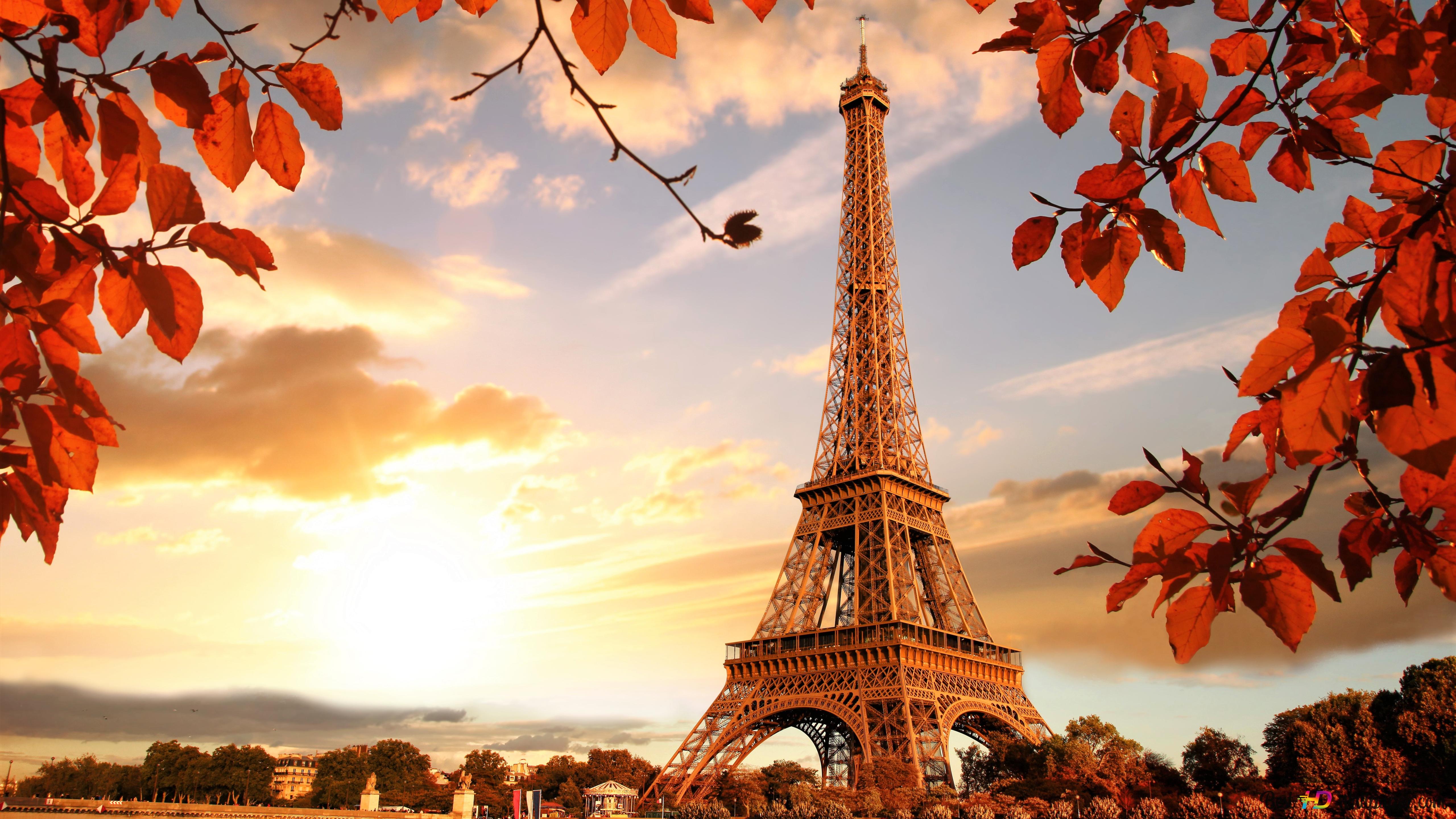 Eiffel Tower, Autumn Season 4K wallpaper download