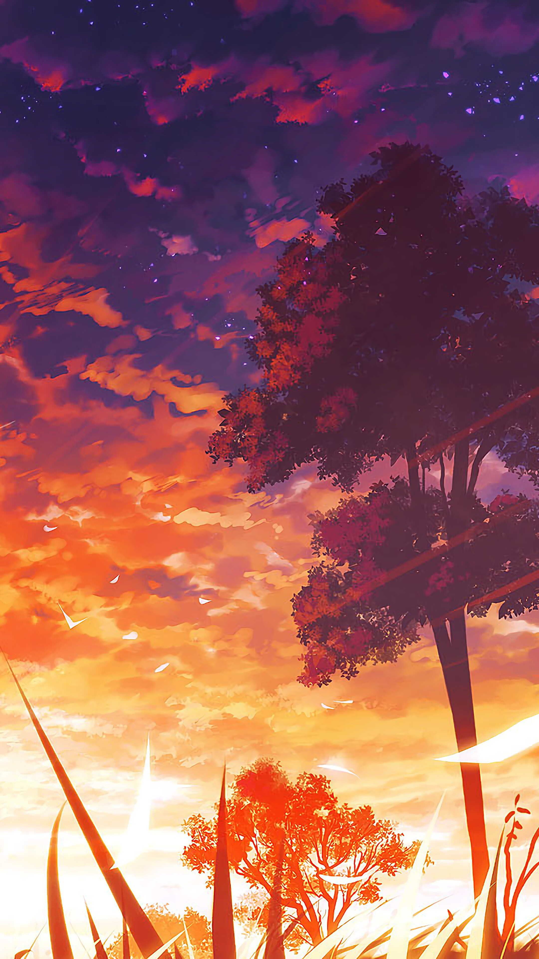 Anime, Sunset, Scenery, Trees, 4k Gallery HD Wallpaper