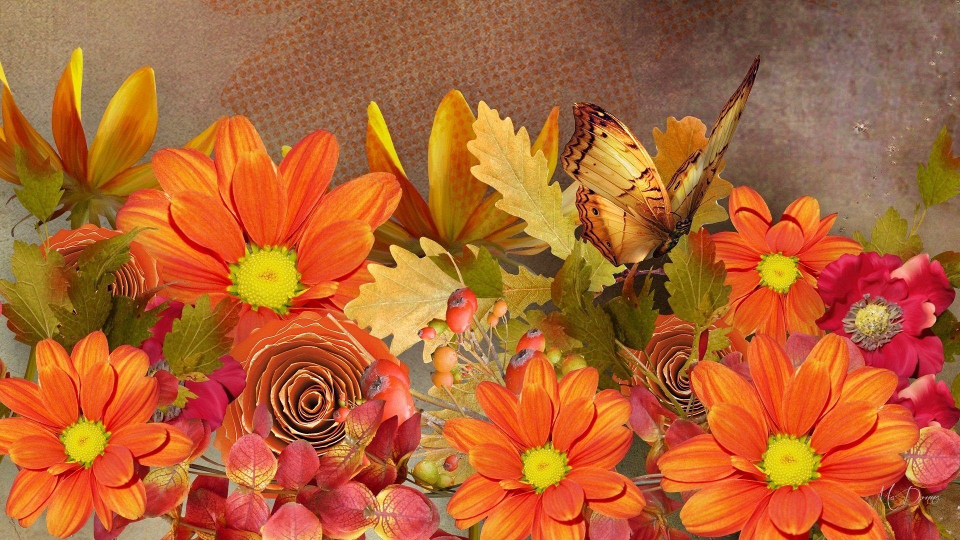1920x1080 Autumn Flowers Wallpapers